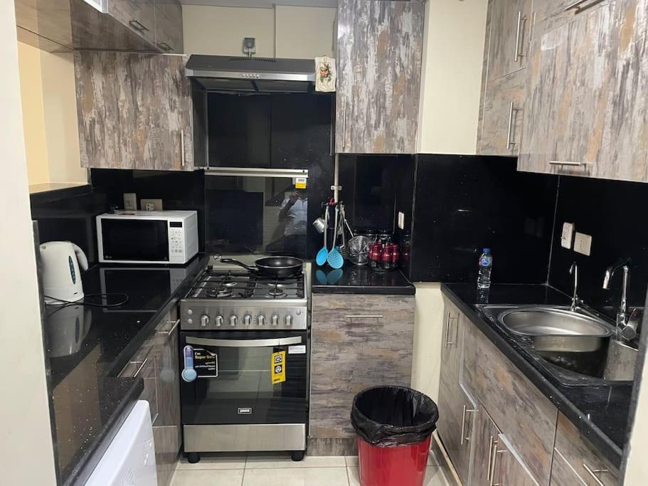 An Elegant Apartment in park mall with lake view