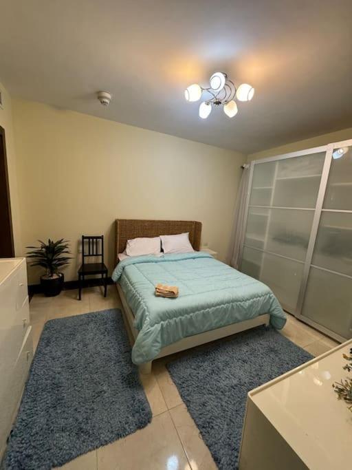 An Elegant Apartment in park mall with lake view