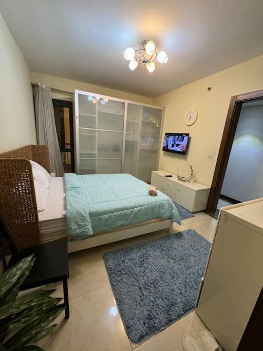 An Elegant Apartment in park mall with lake view