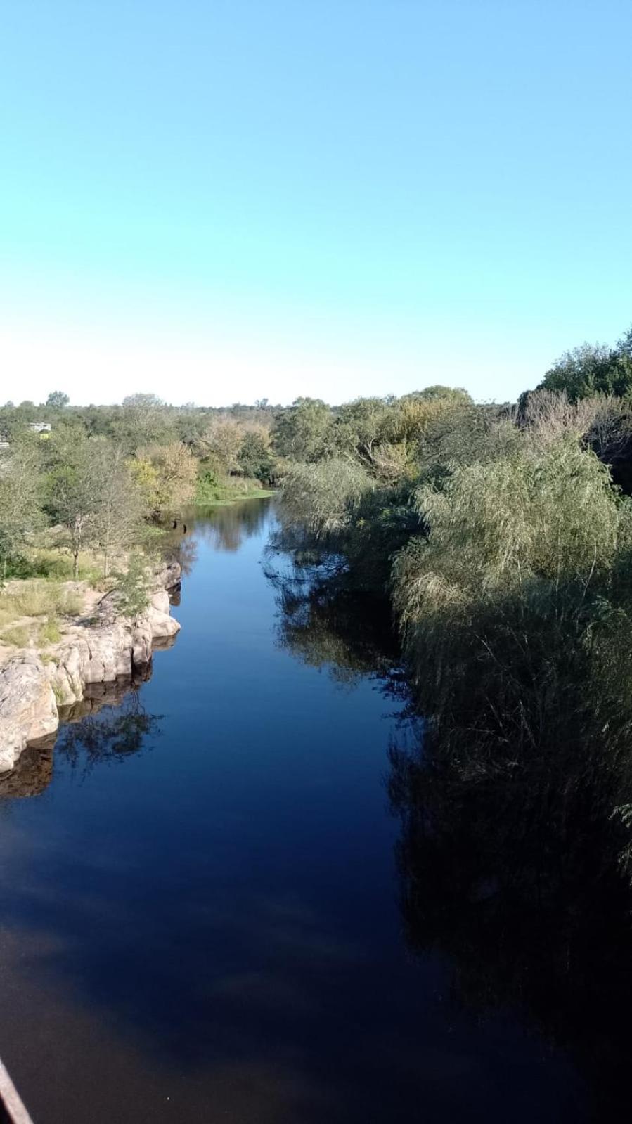 La Cabaña de los Osos.