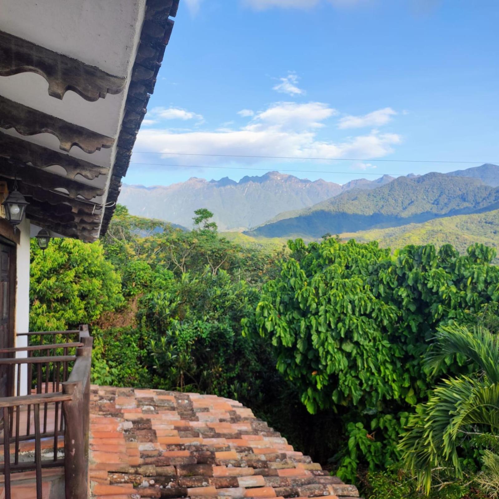 La Villa The View