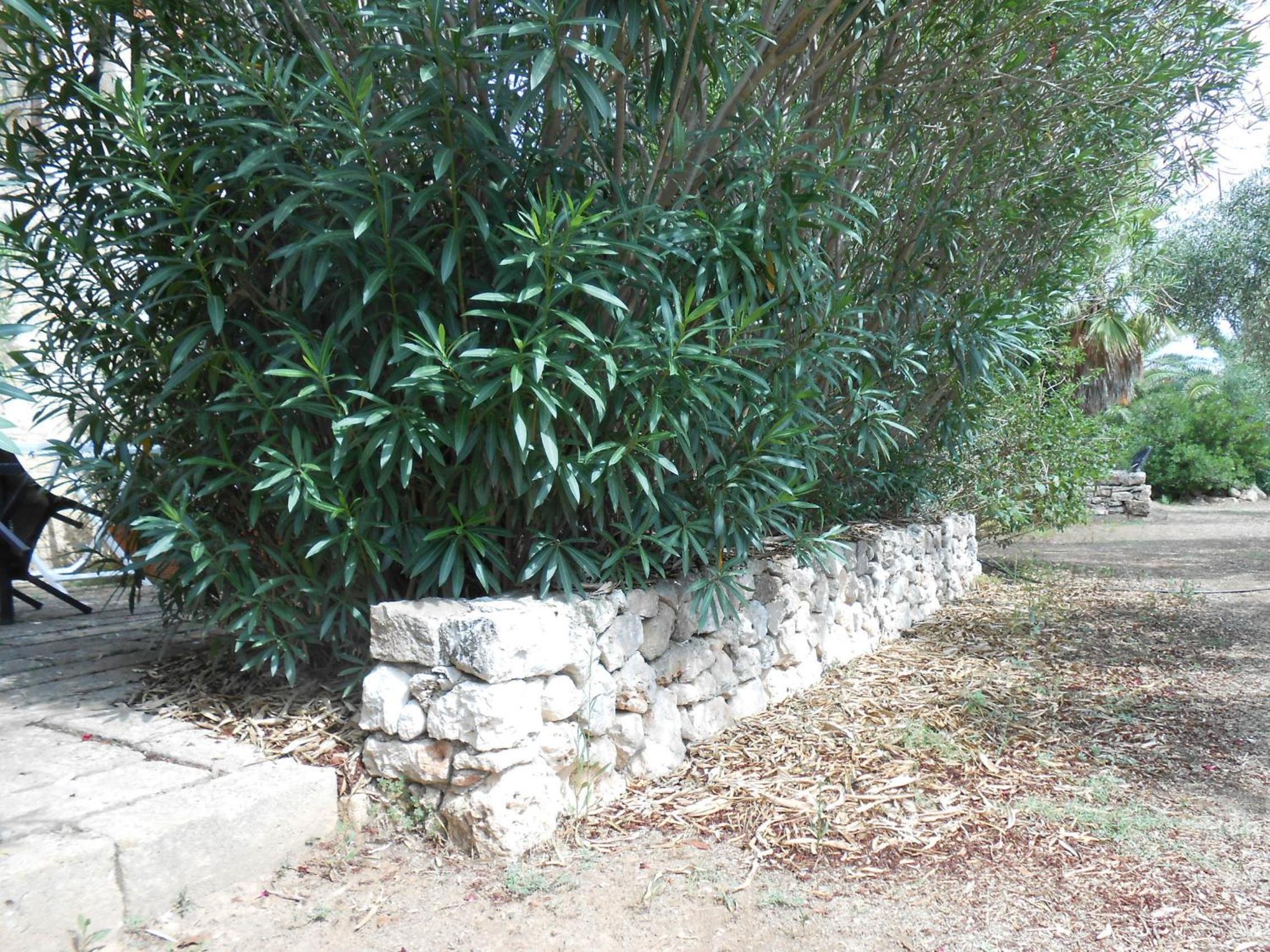 Masseria Serine