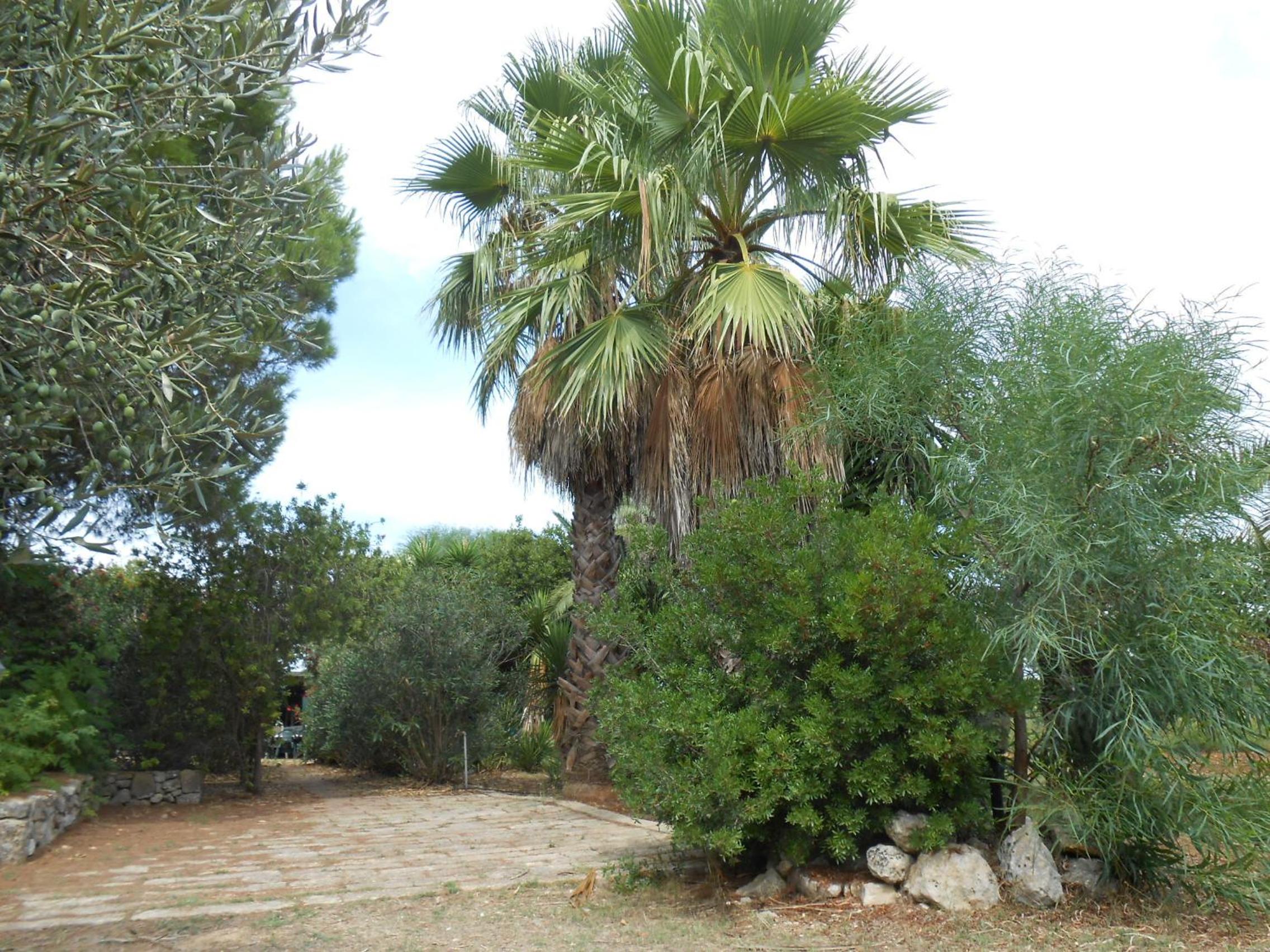 Masseria Serine