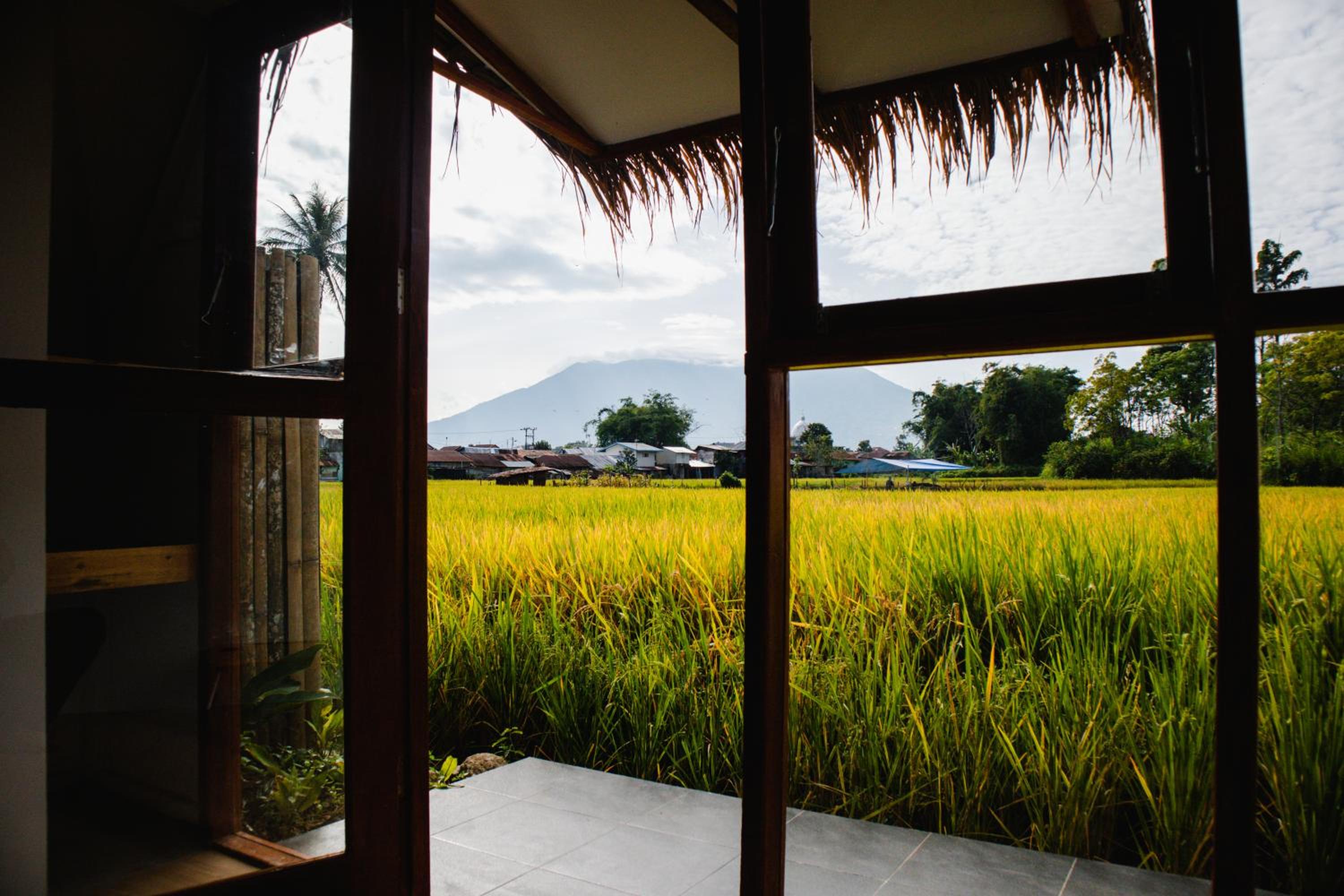 BAMBOO Shack & BAMBOO Cabin view 2