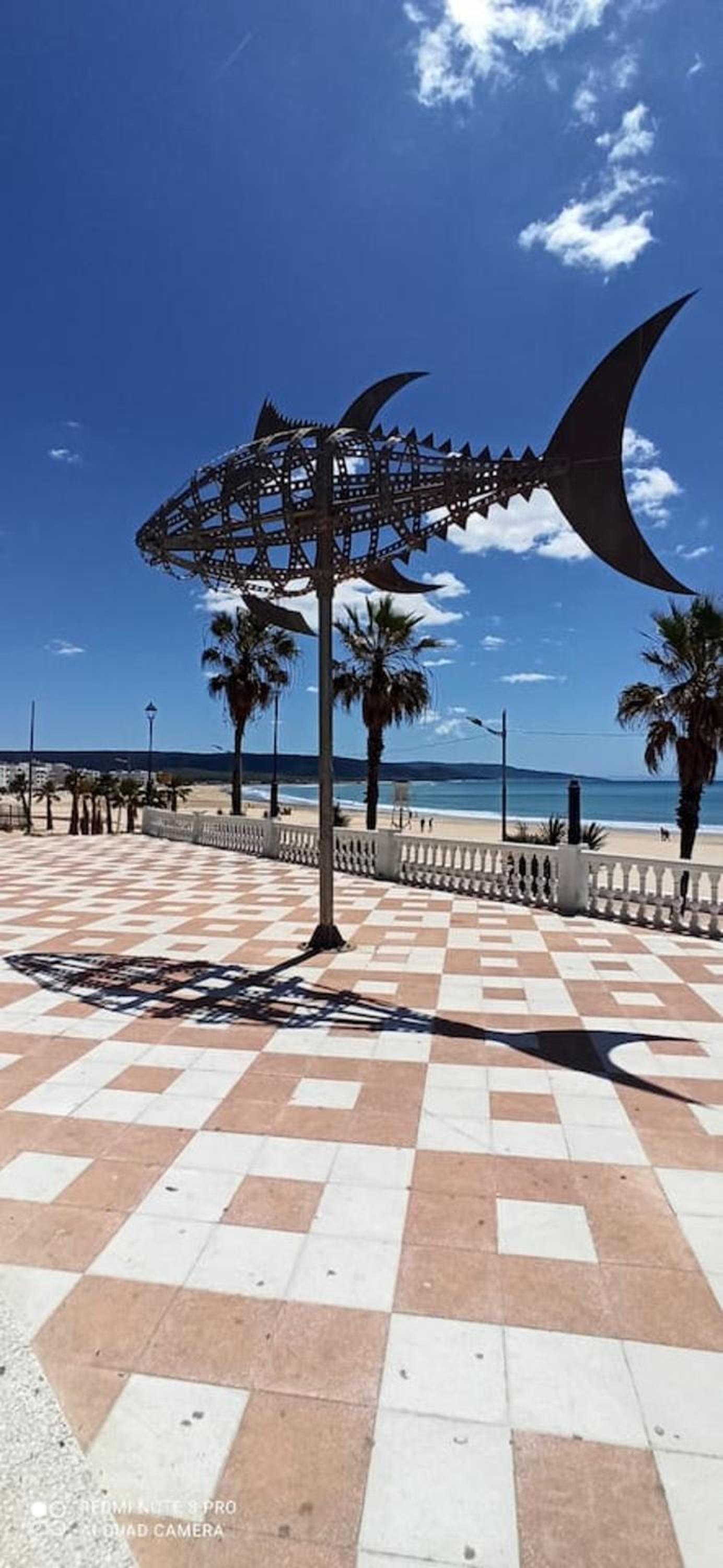 Spacious Apartment in Barbate with Air Conditioning and Comfort