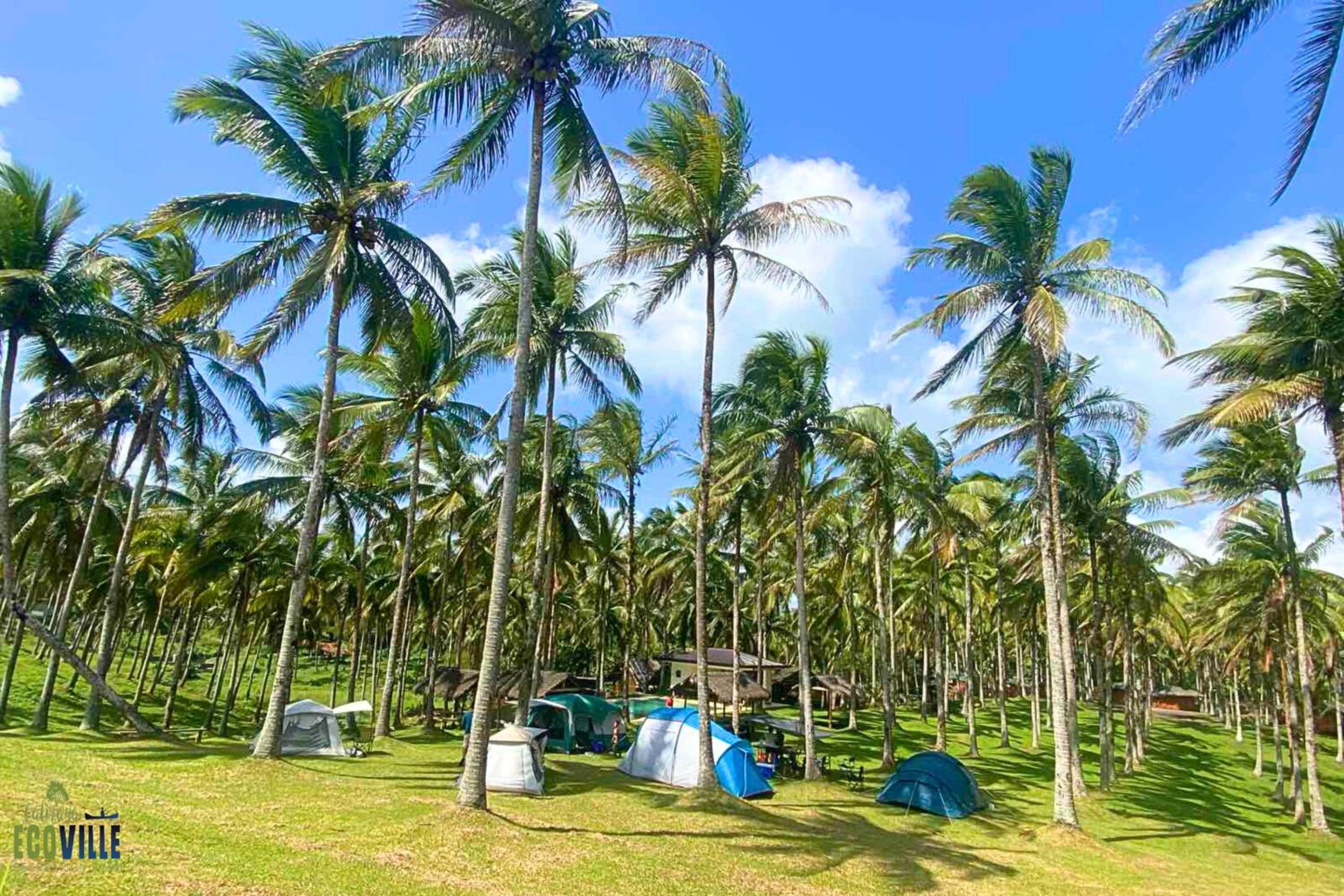 Caliraya Ecoville Recreation and Farm Resort