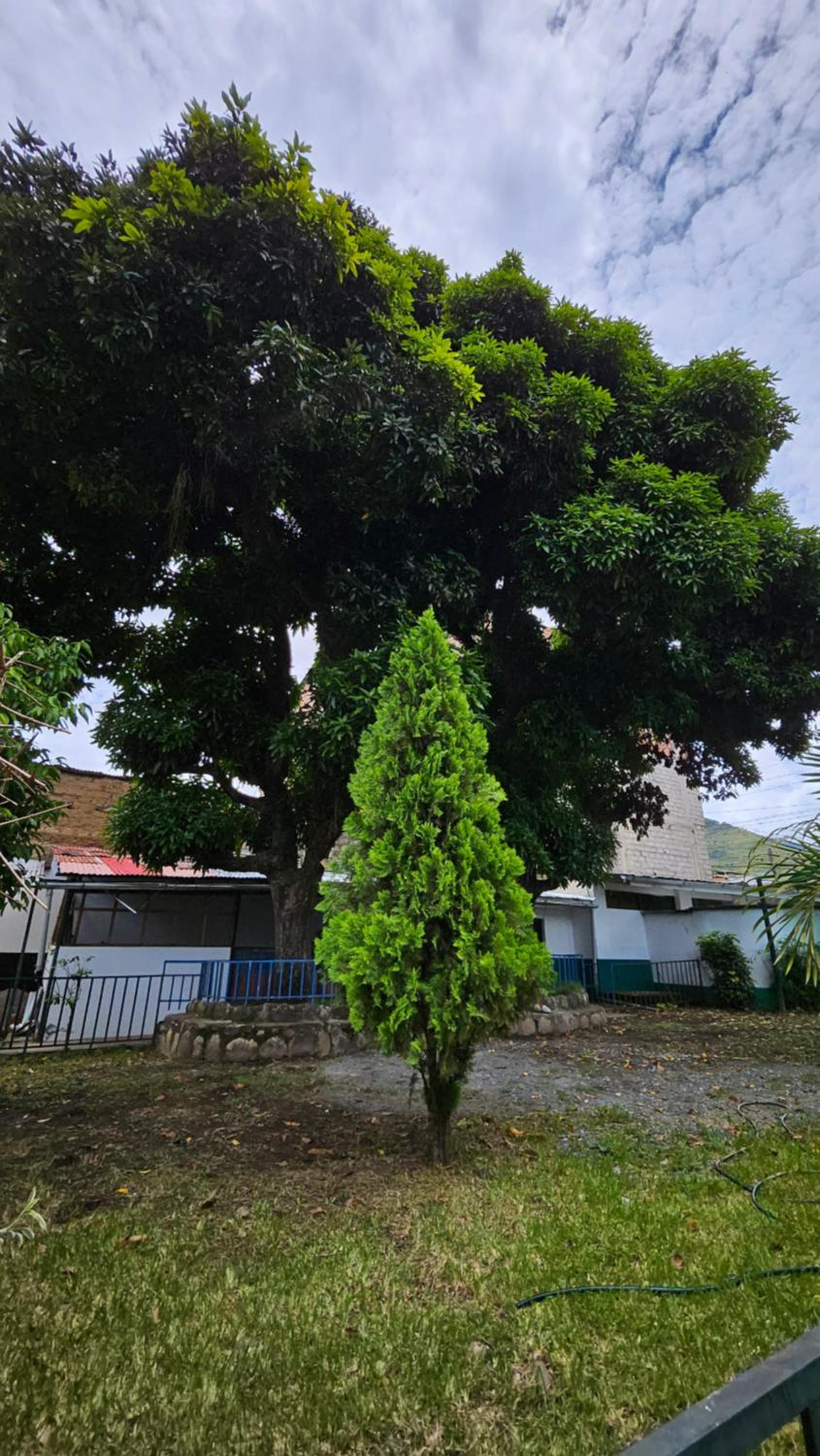 Casa Verde