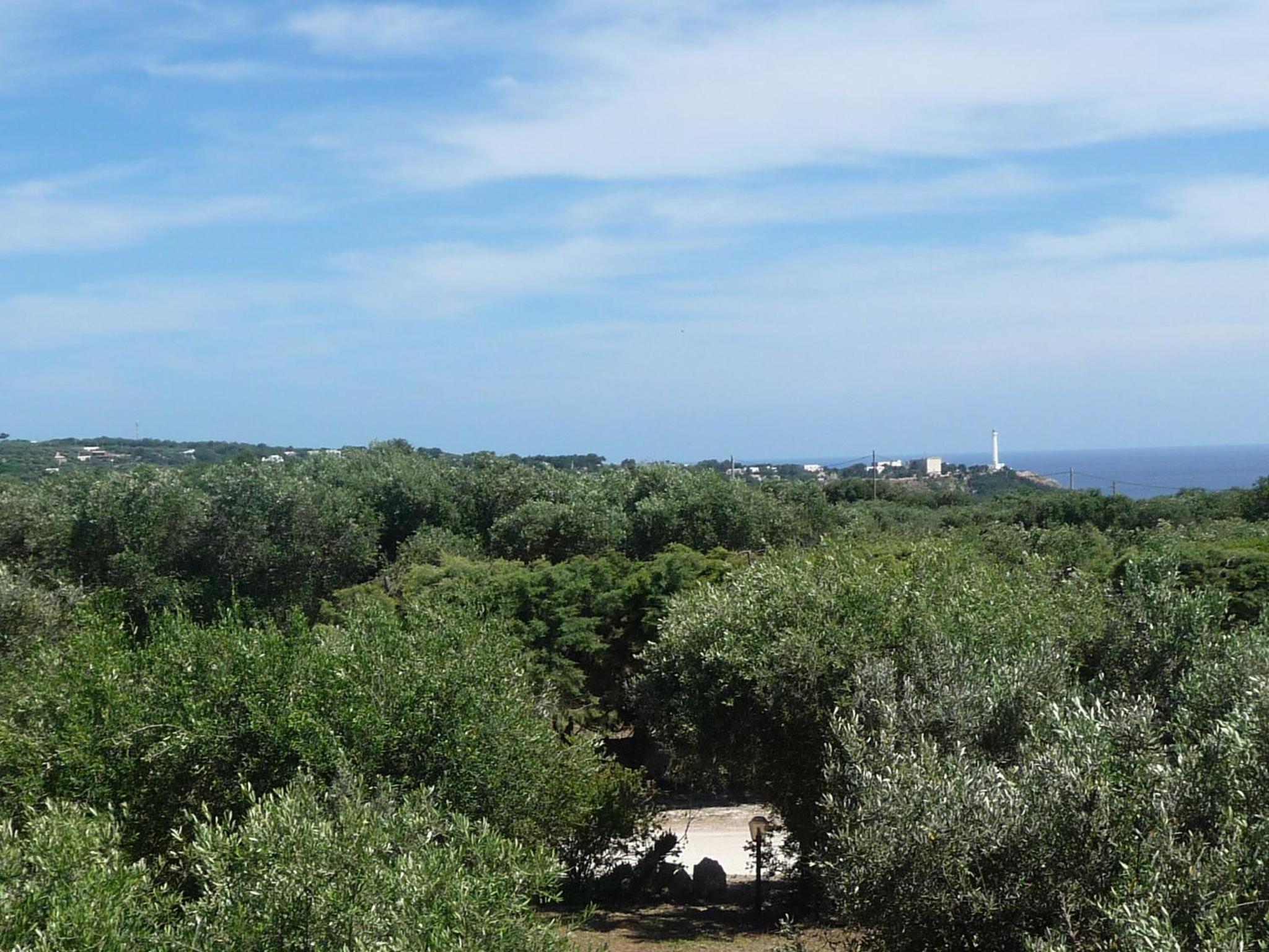 Masseria Serine