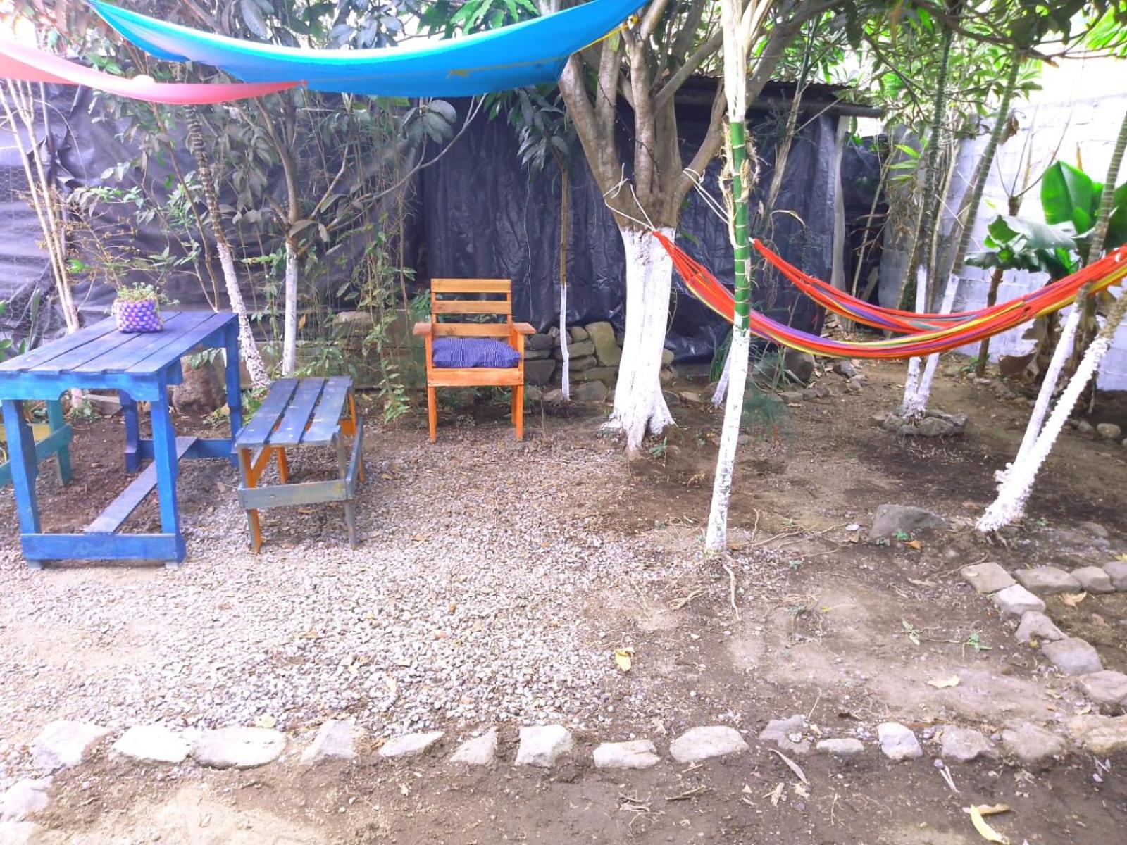 Photo 16