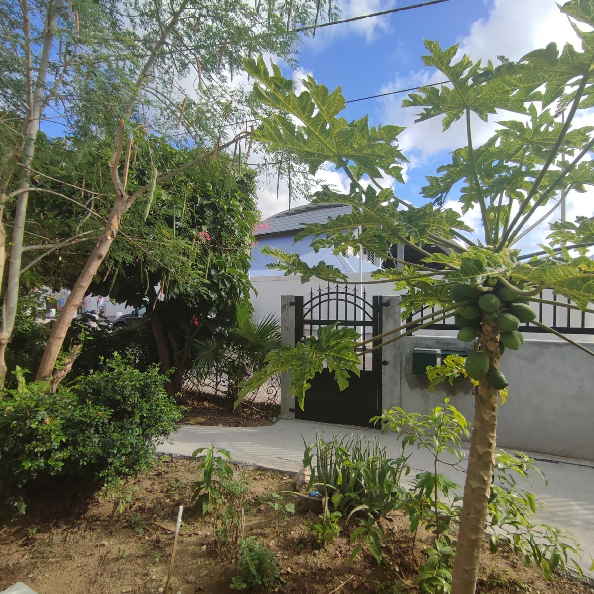 Maison moderne à marigot view 2