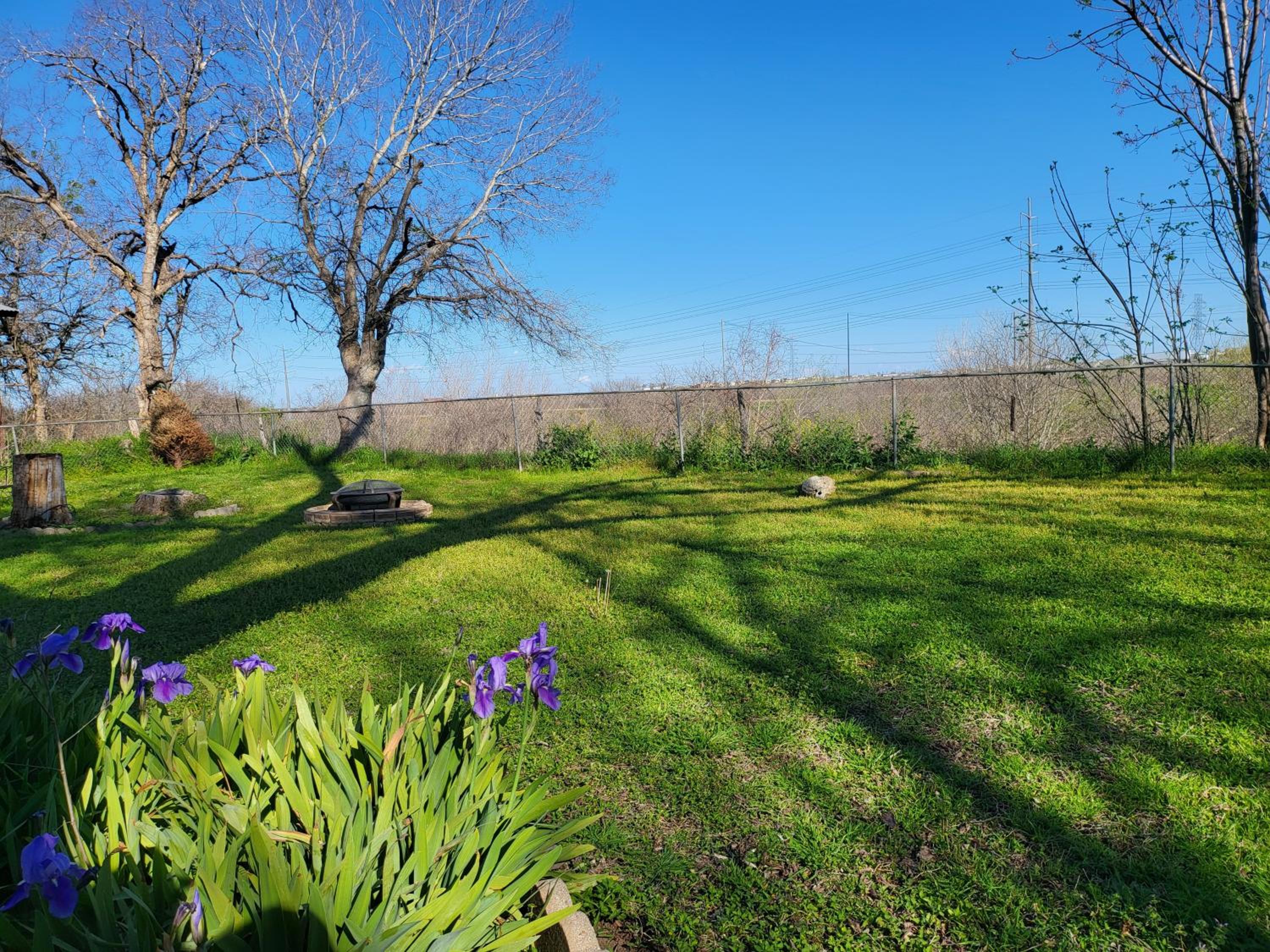 Green Haven Studio near Austin Airport COTA view 3
