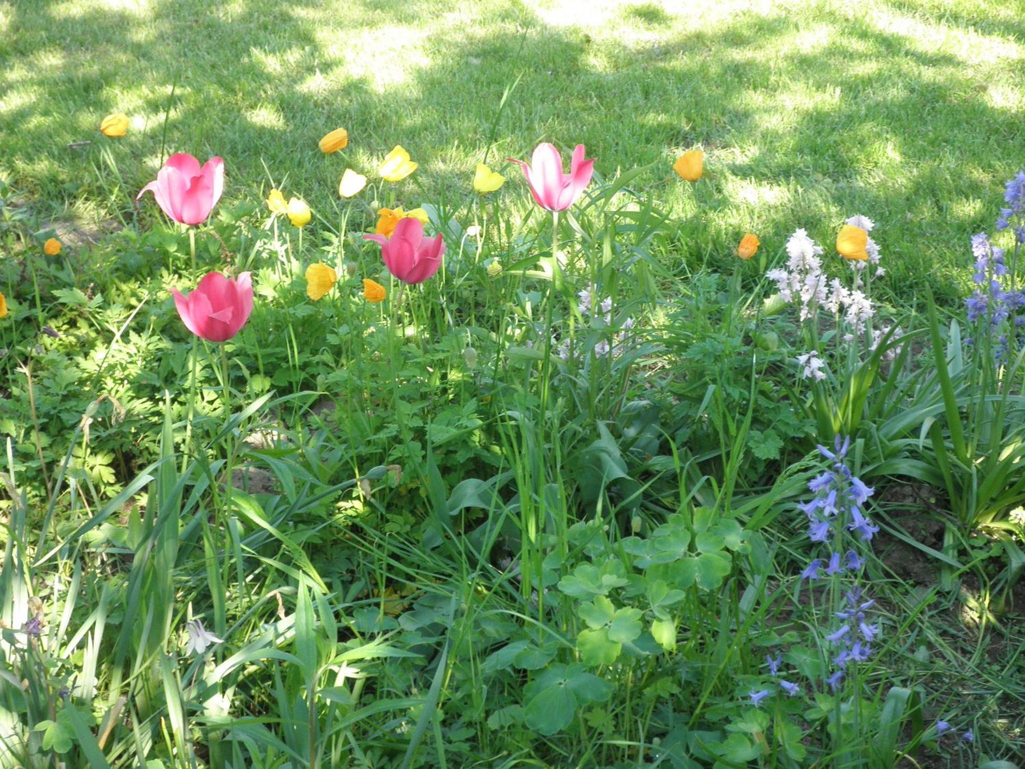 Photo 23