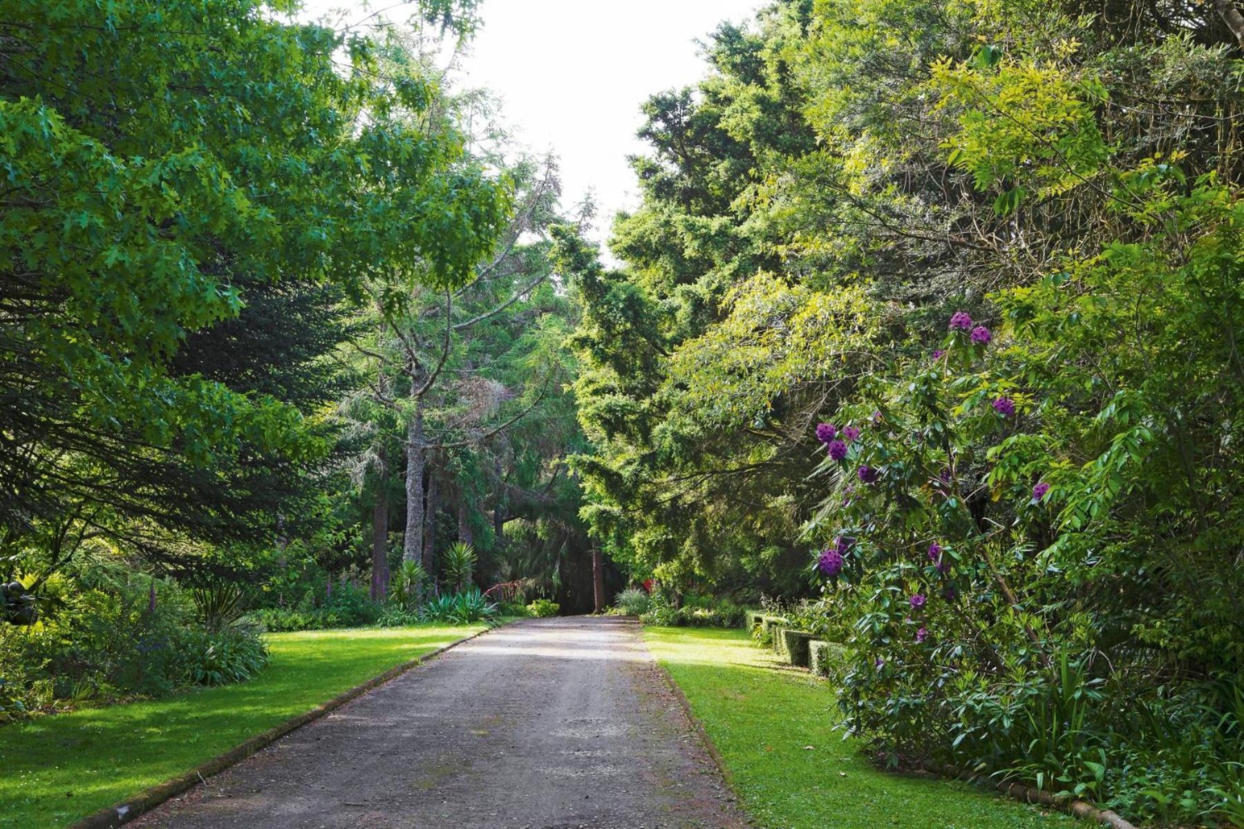 TePopo Gardens Rural Retreat
