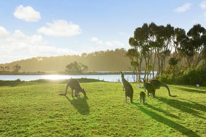 Fraser Island Retreat