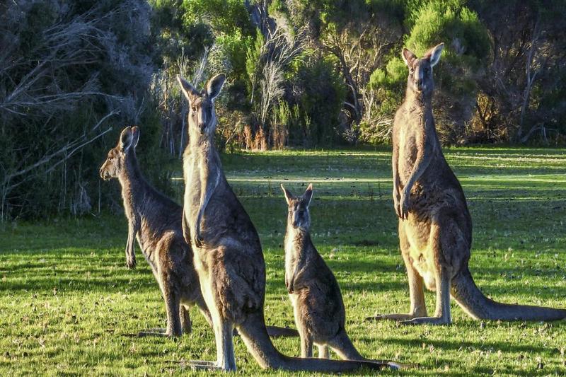 Fraser Island Retreat