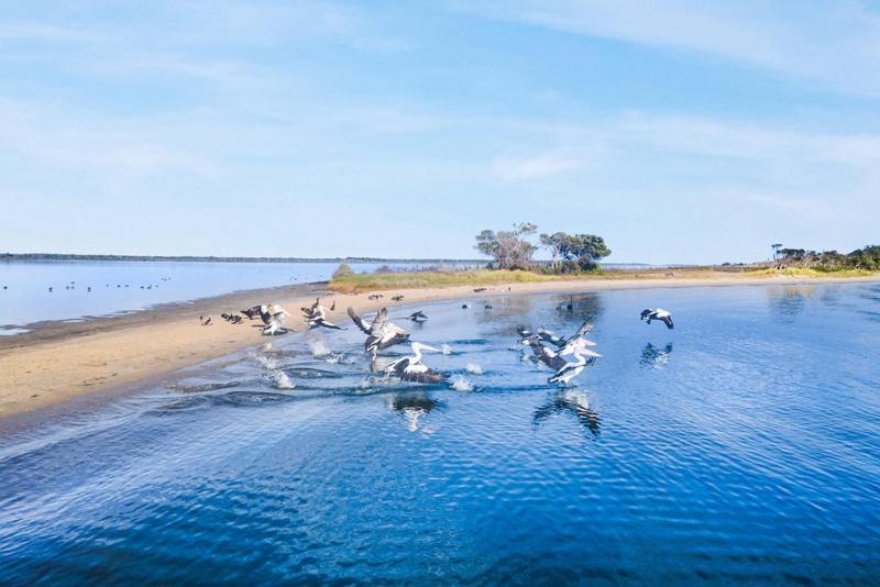 Fraser Island Retreat