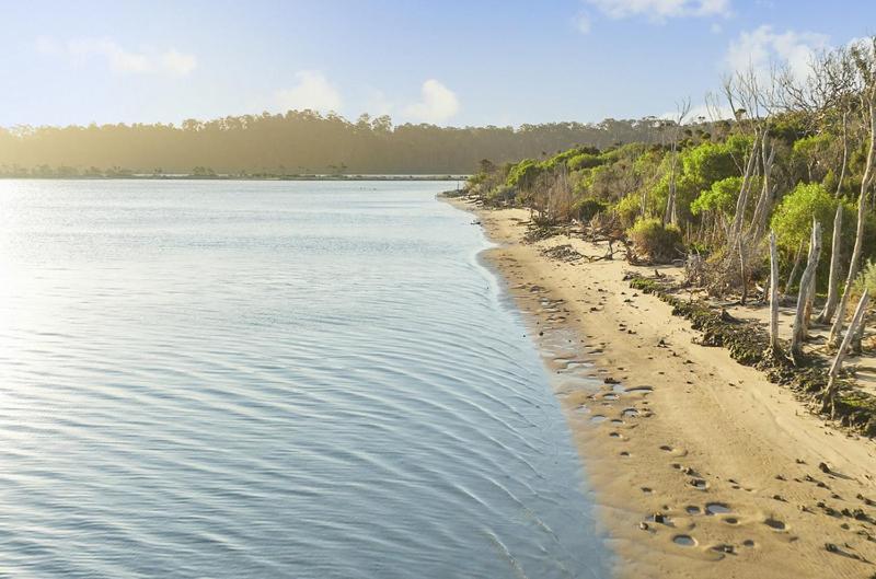 Fraser Island Retreat