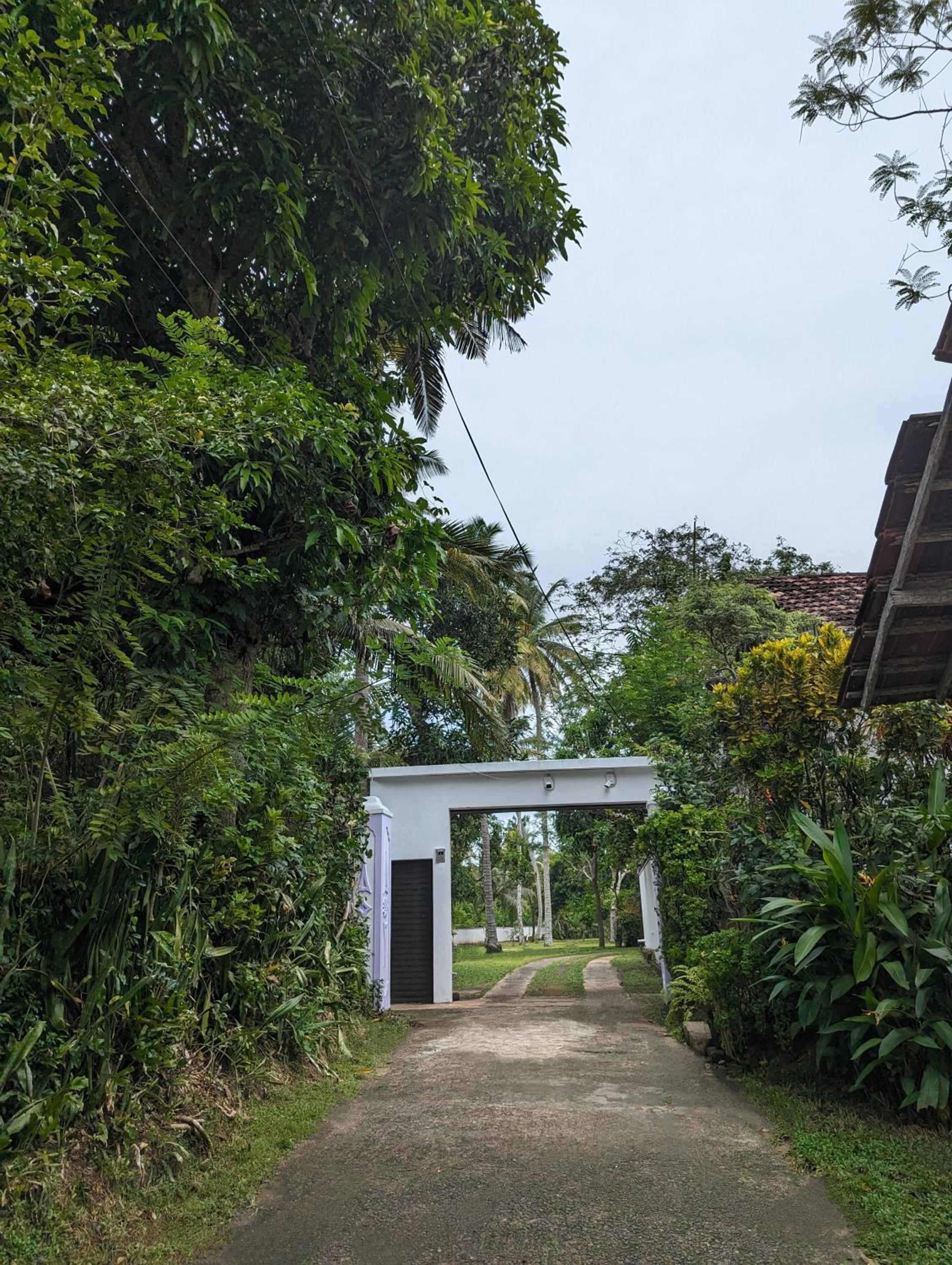 Treetops Ahangama