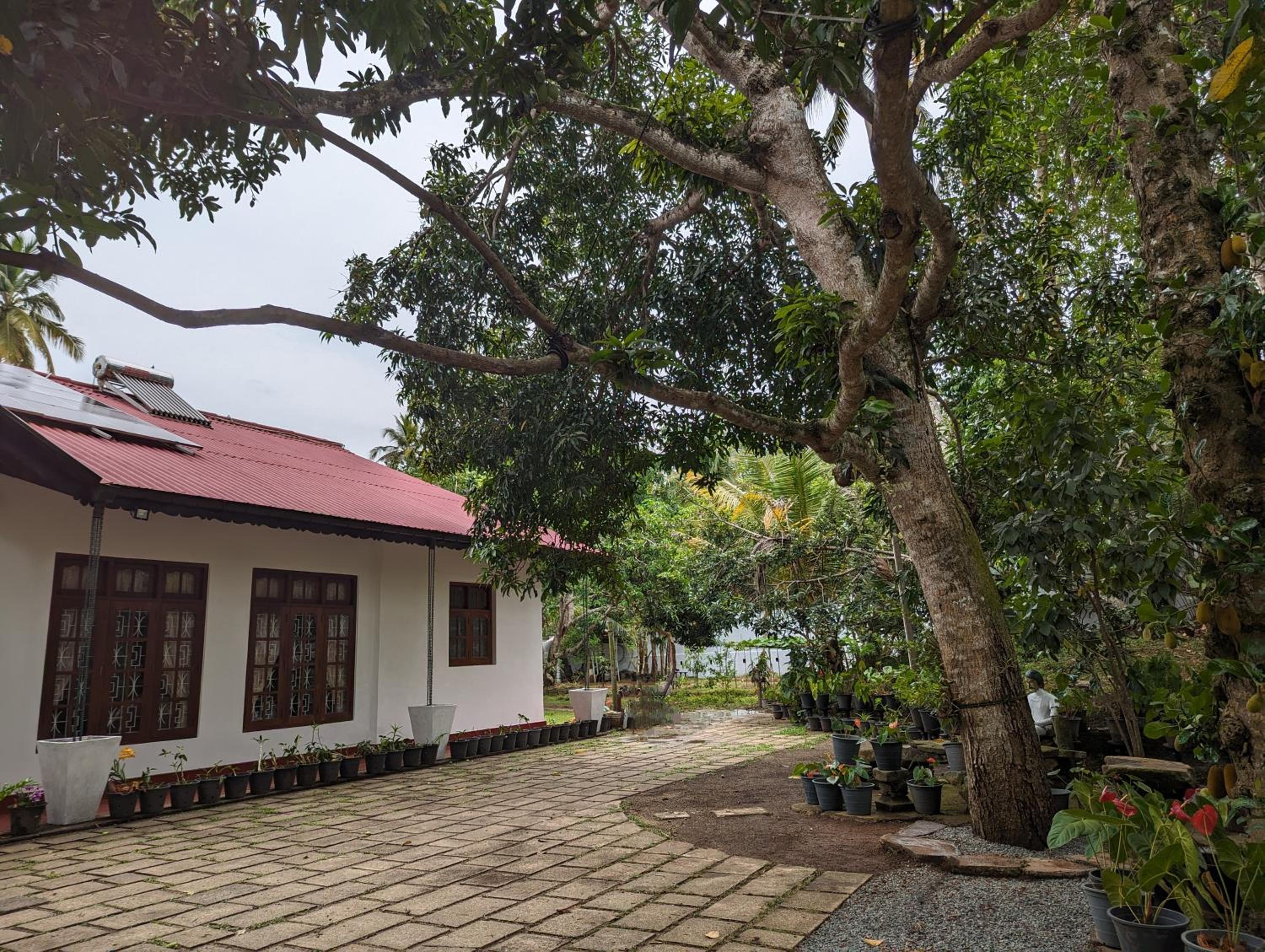 Treetops Ahangama