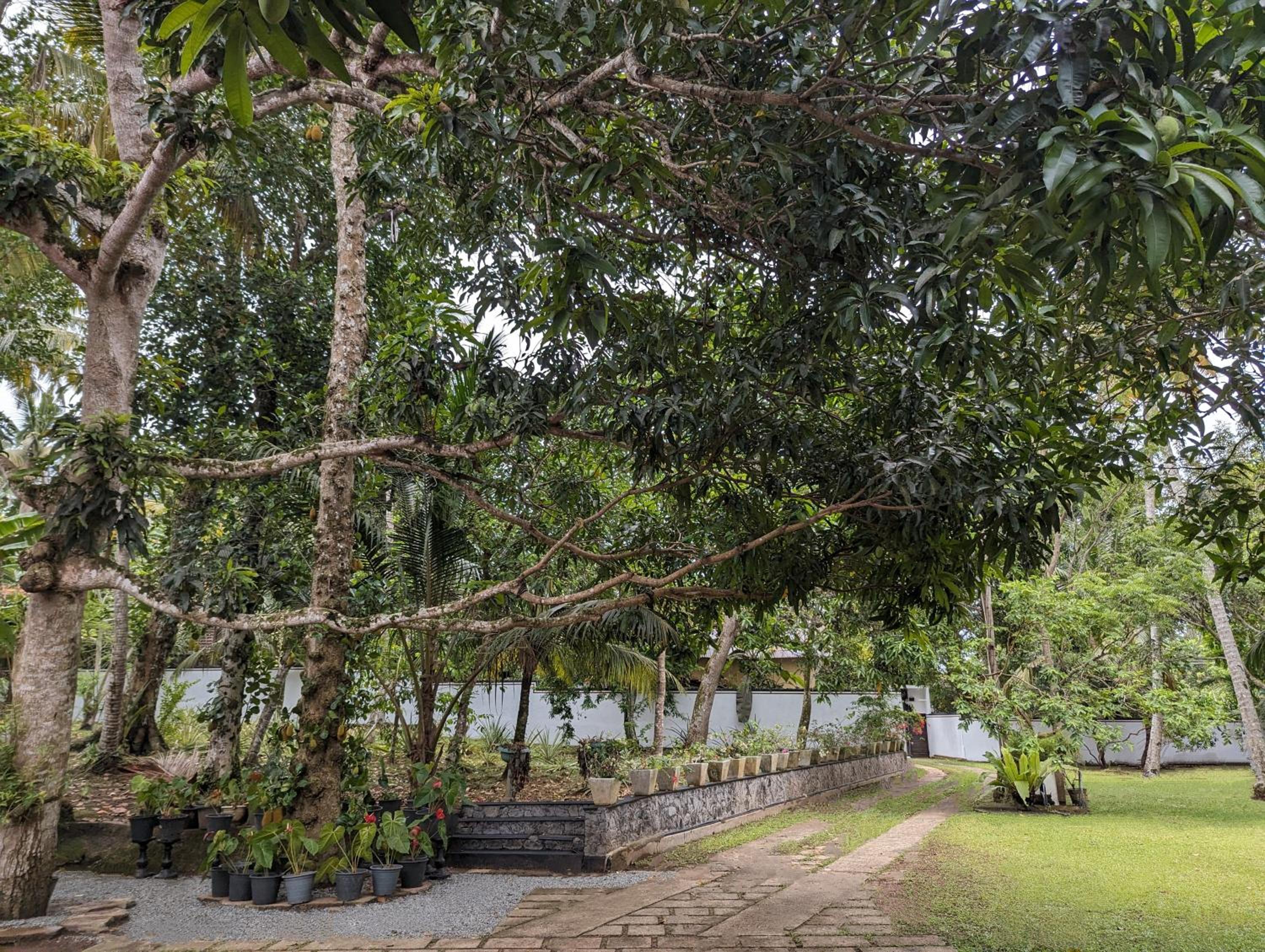 Treetops Ahangama