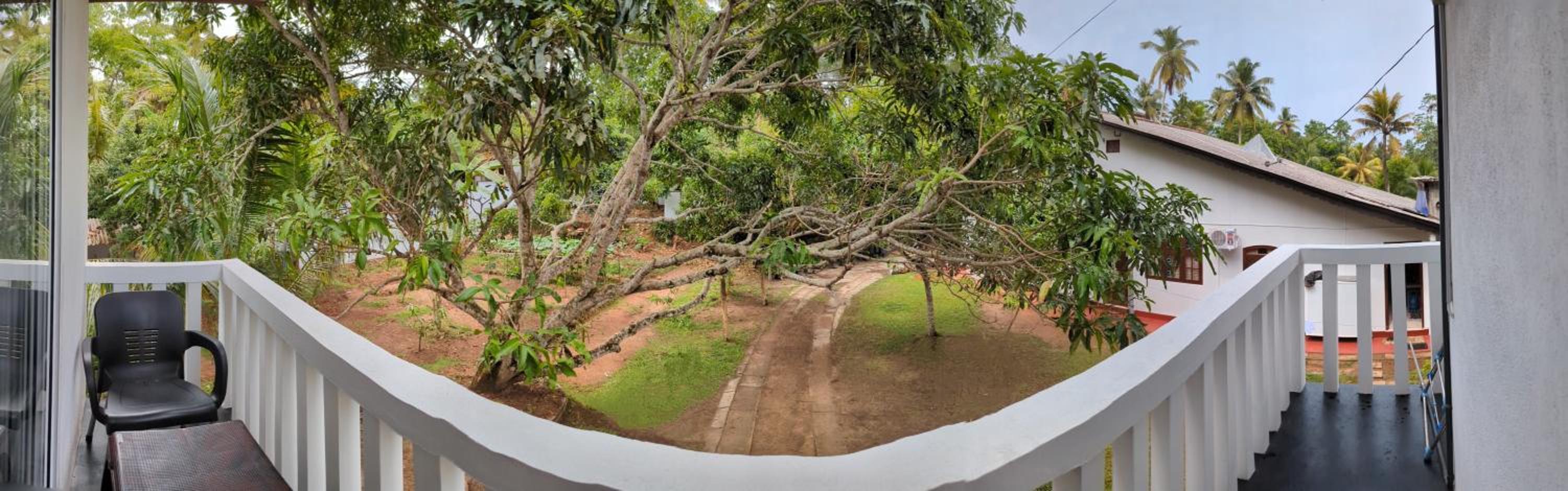 Treetops Ahangama