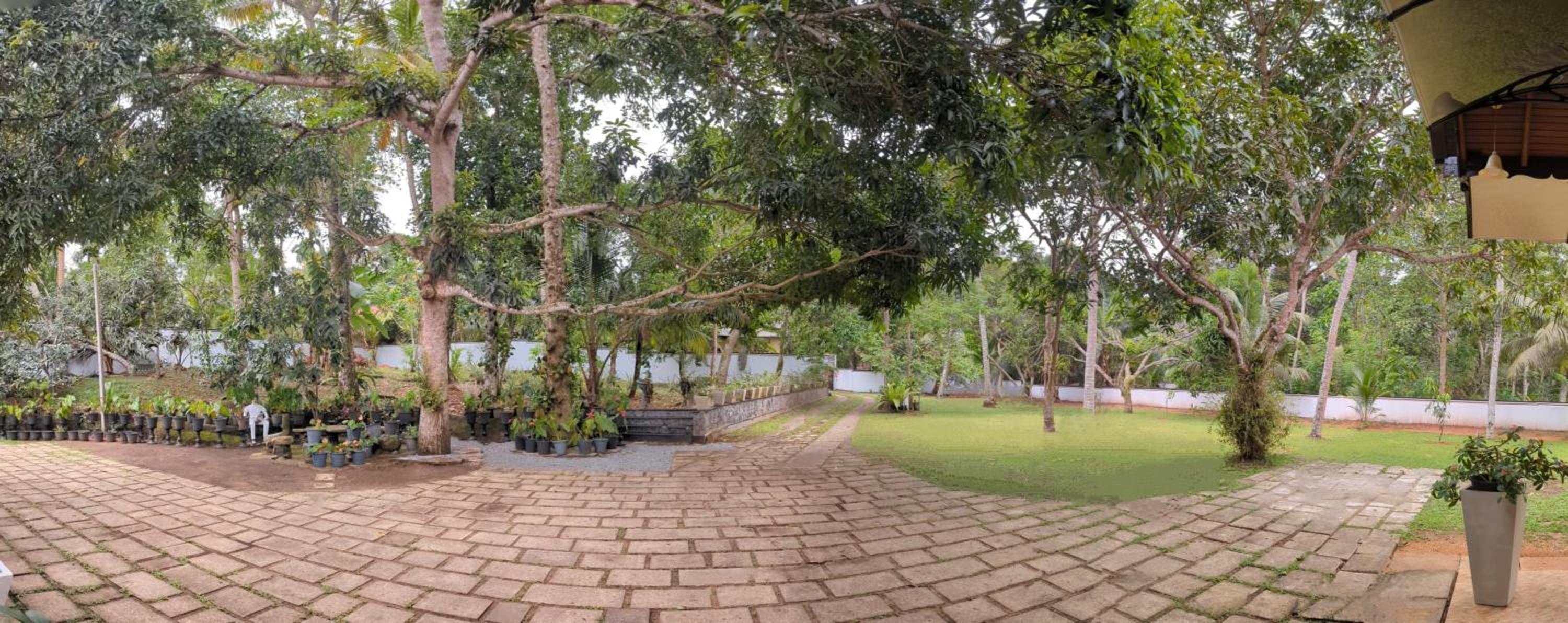 Treetops Ahangama