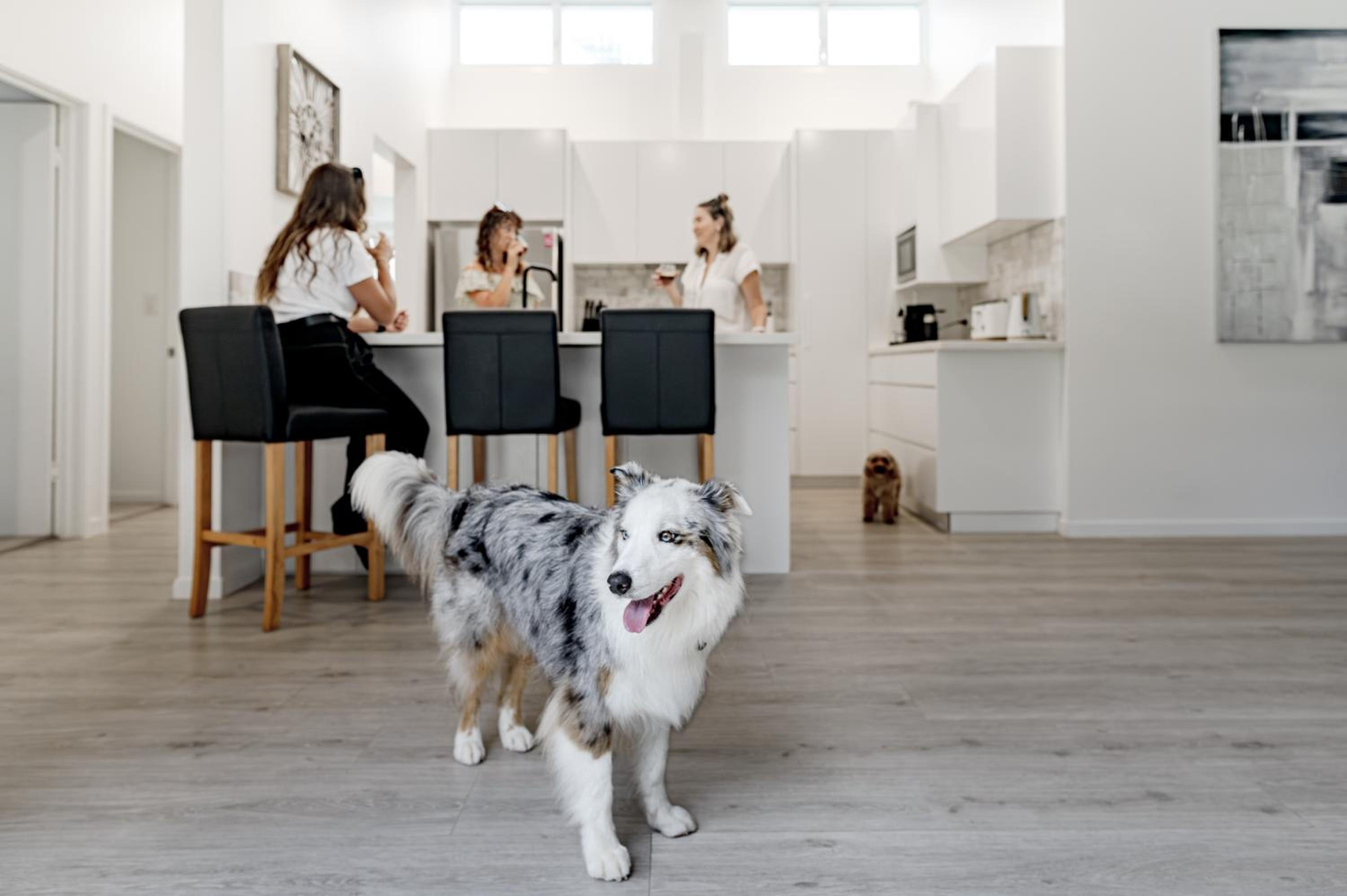 Family & Pet-Friendly Luxury Near Hastings St