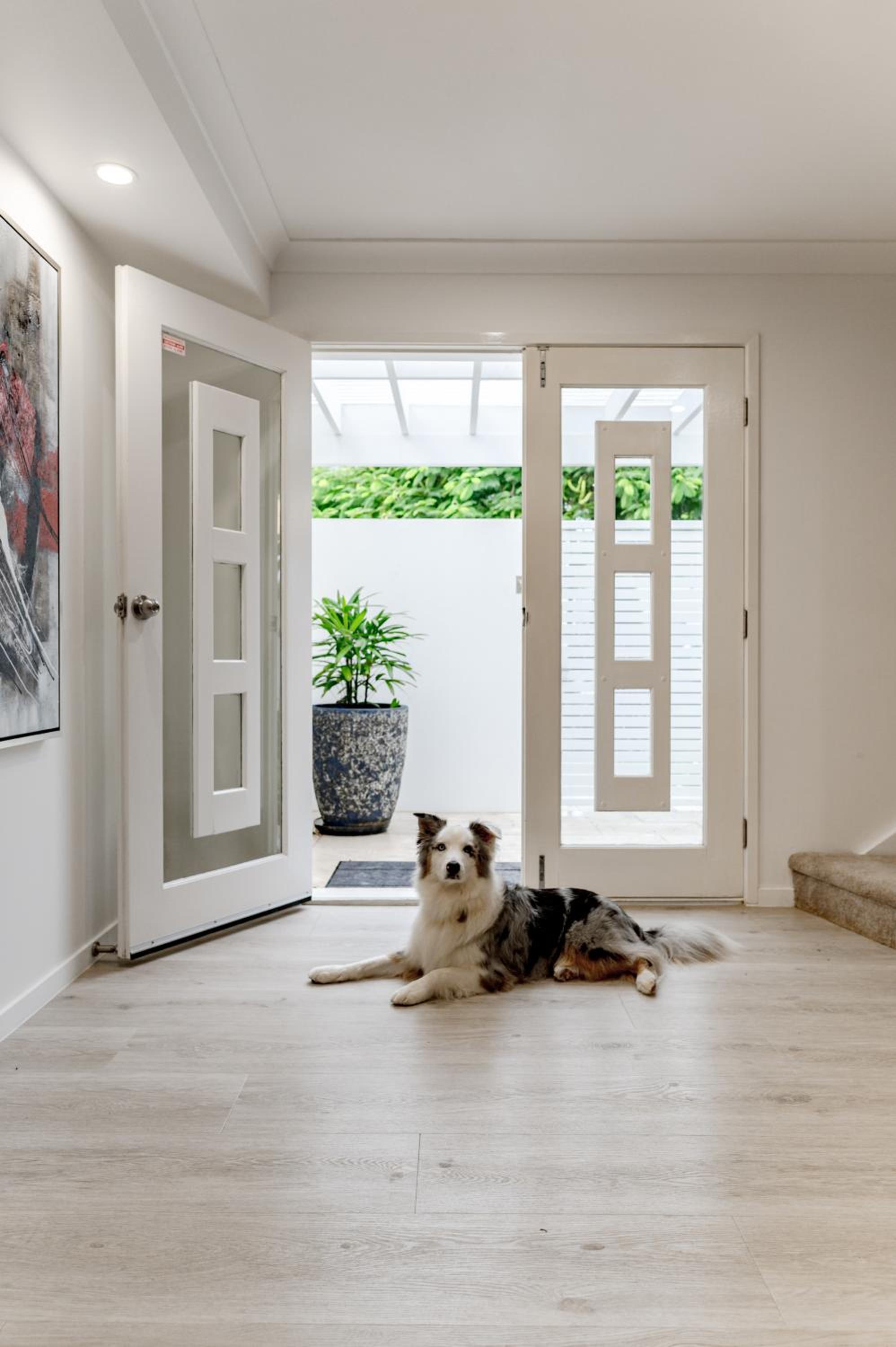 Family & Pet-Friendly Luxury Near Hastings St