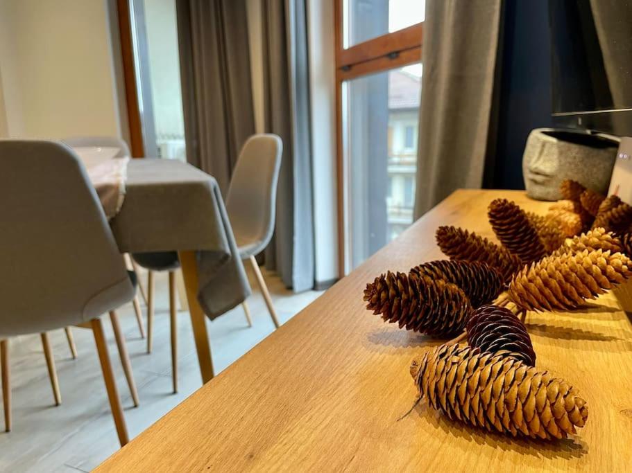 Cosy Mountain View Apartment 1