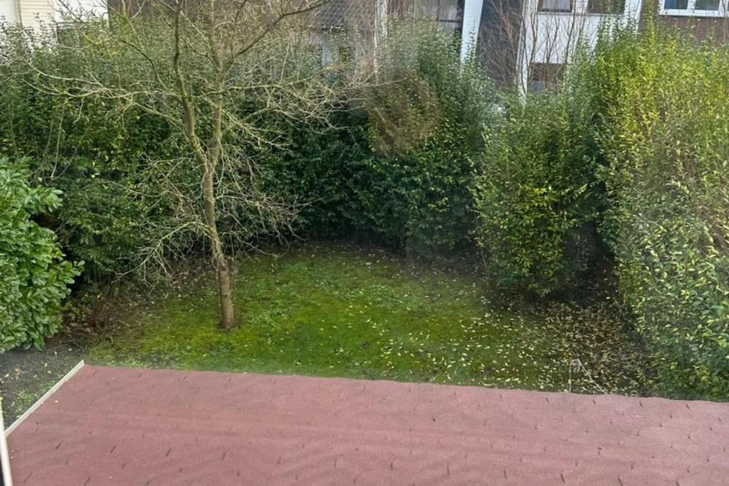 Kleines Häuschen in Cadzand-Bad view 4