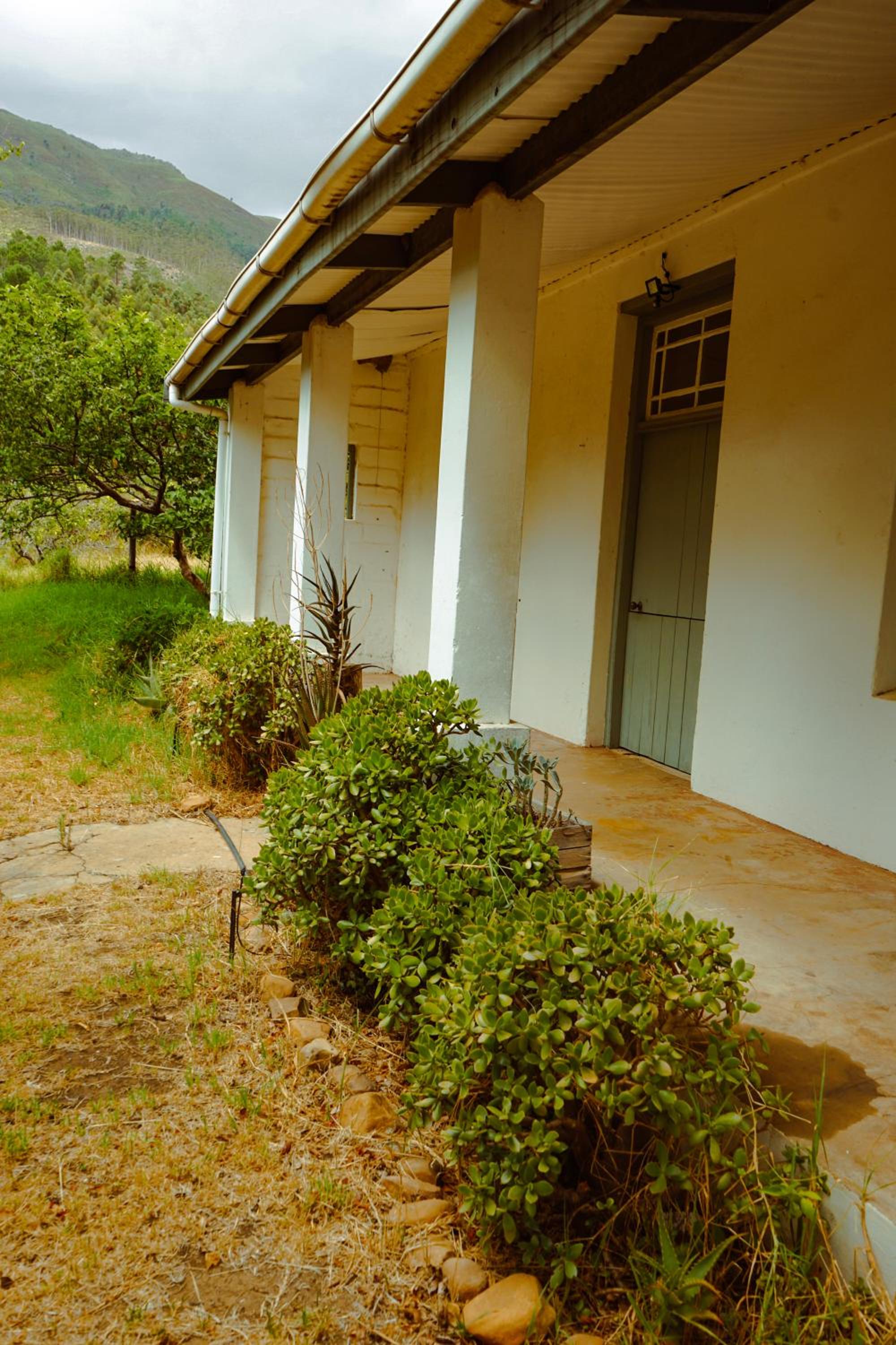 Wolvenhoek Vineyard Farmstead