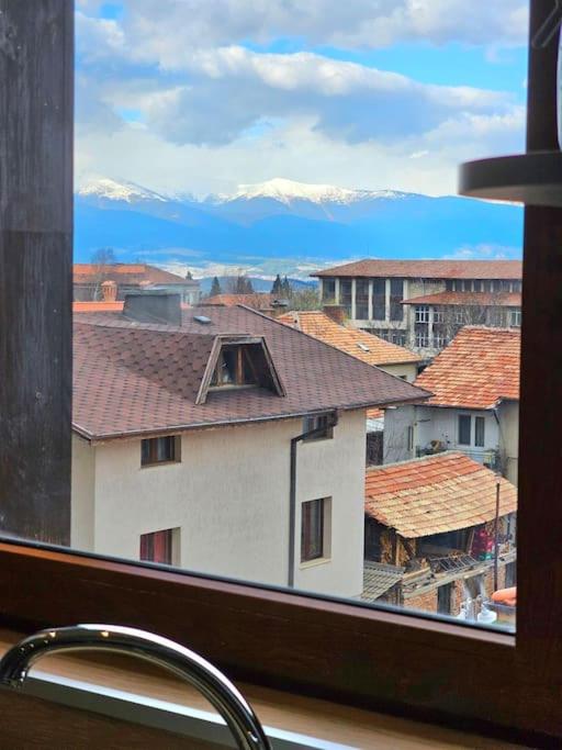Cosy Mountain View Apartment 2