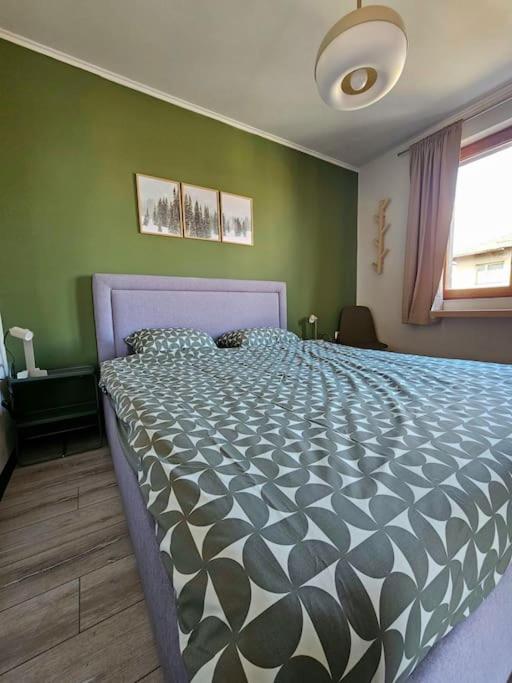 Cosy Mountain View Apartment 2