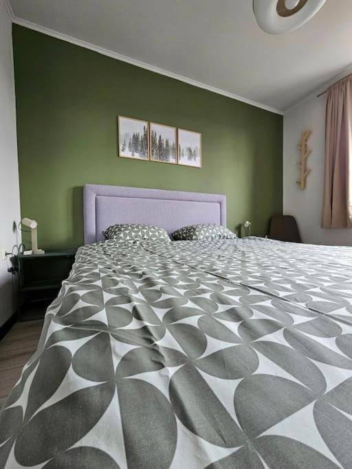 Cosy Mountain View Apartment 2