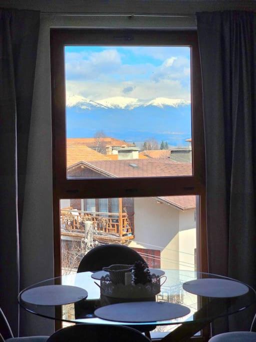 Cosy Mountain View Apartment 2