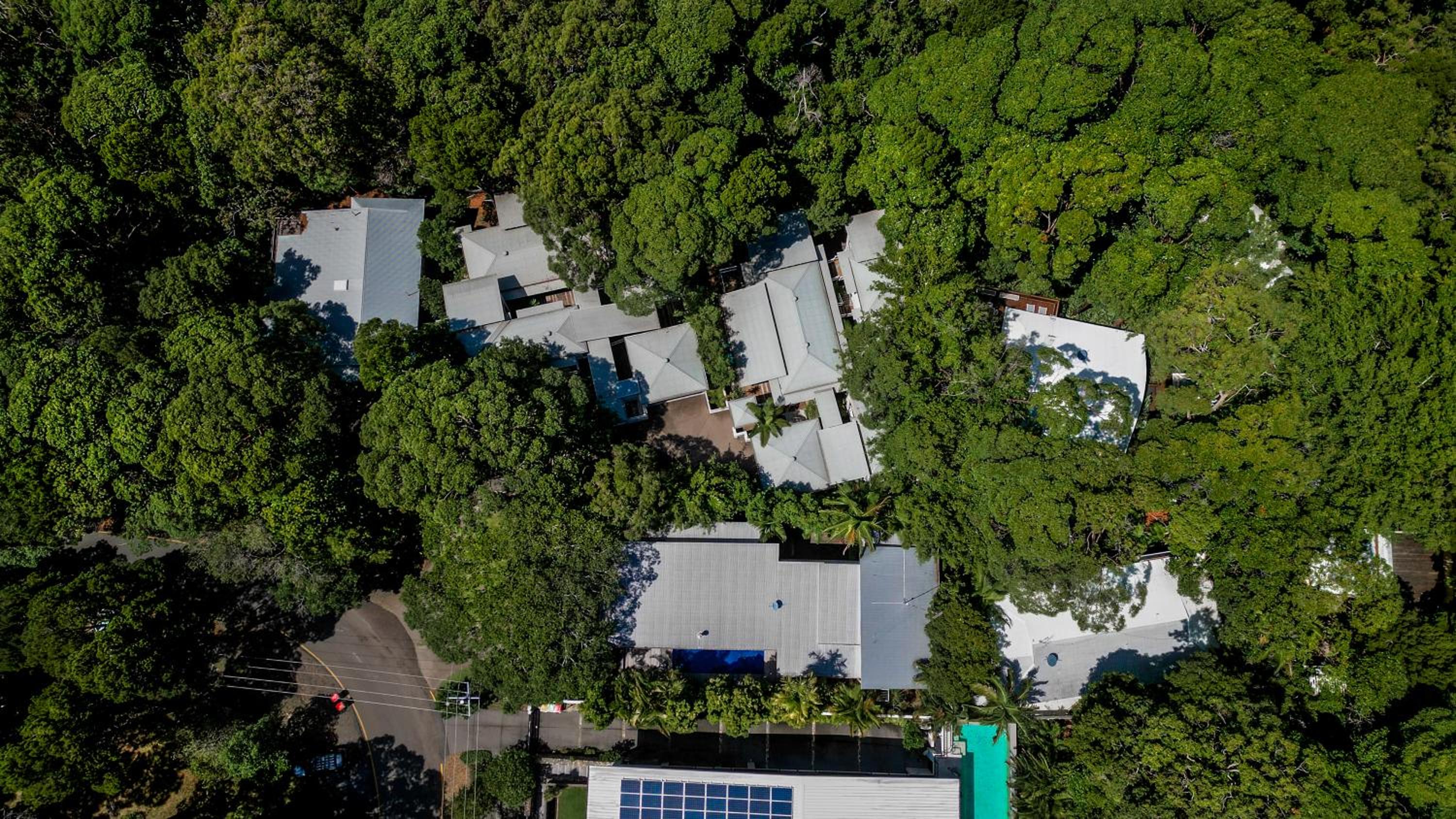 Dual-living amongst the rainforest, Little Cove