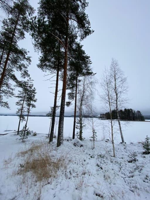 Käpälämäki puhtaan veden äärellä omassa rauhassa