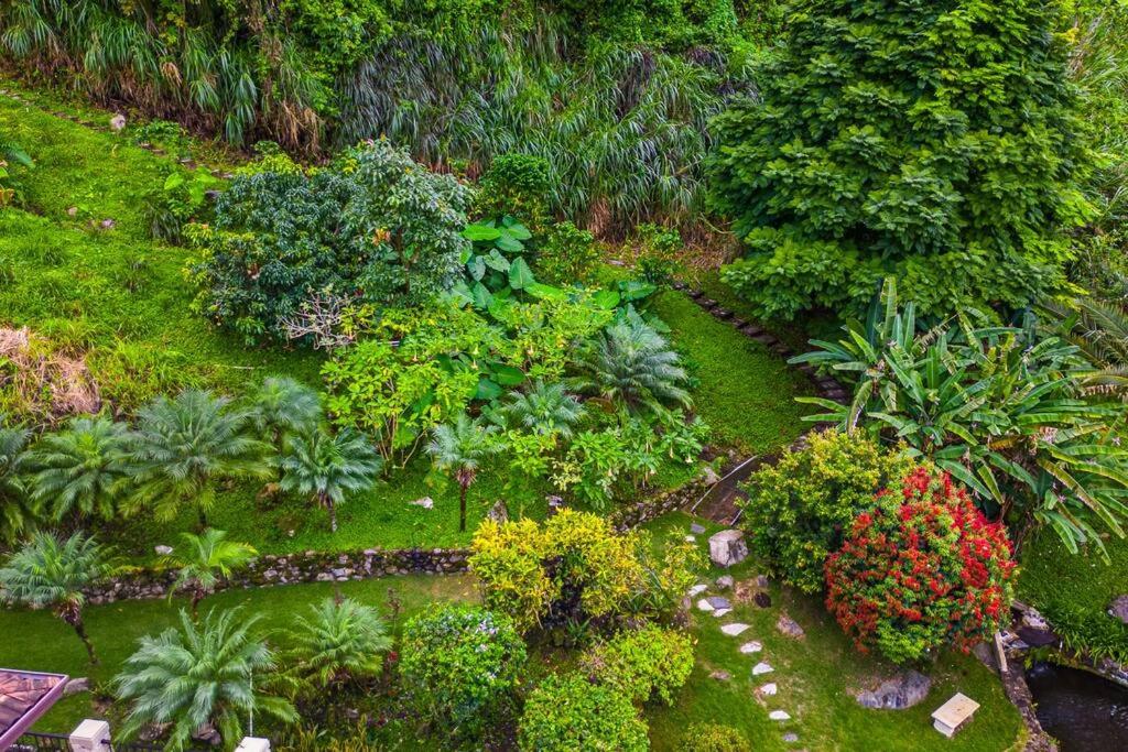 Casa Cascada, Boquete full house