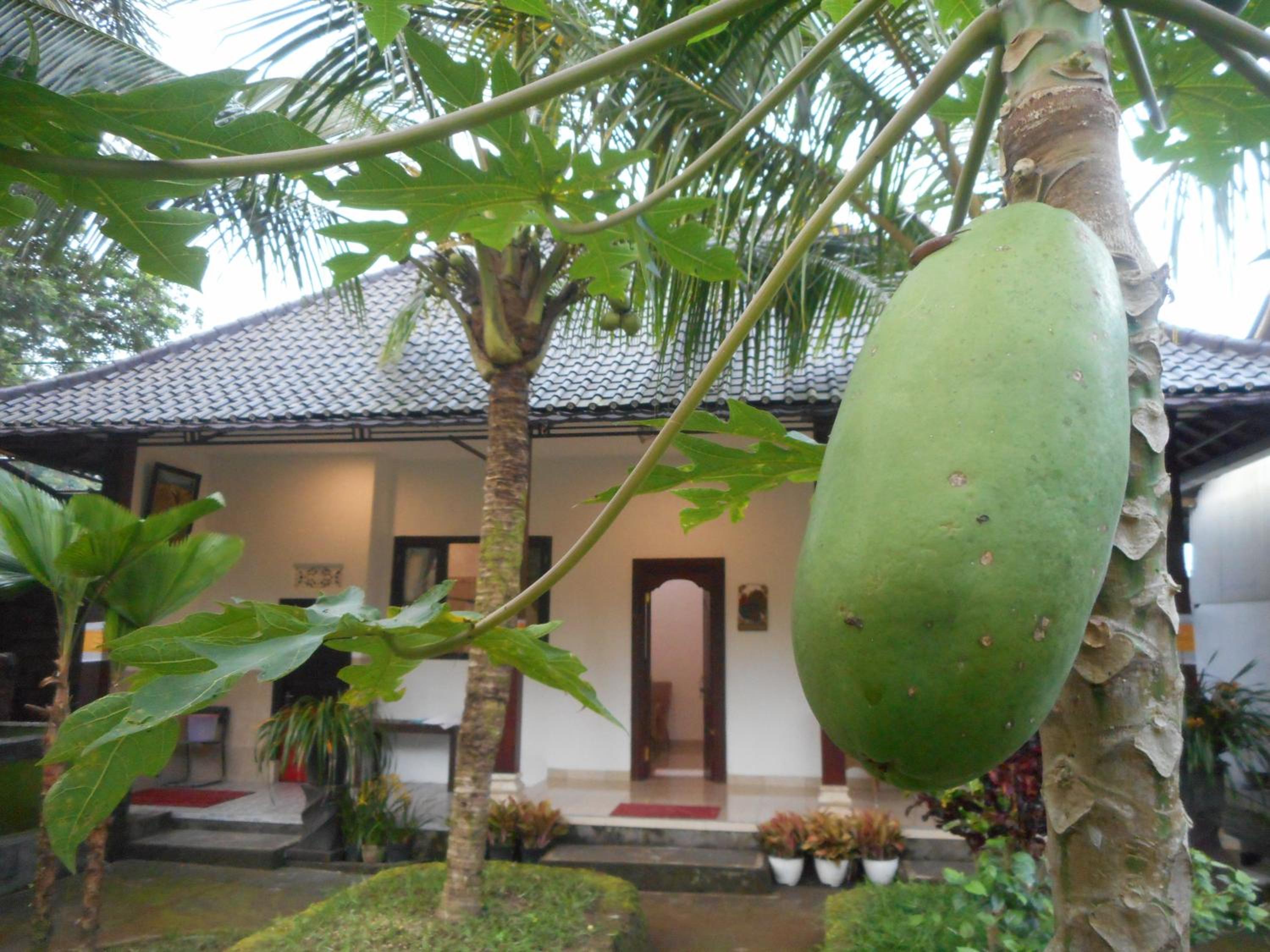 Manik Villa Besakih view 3