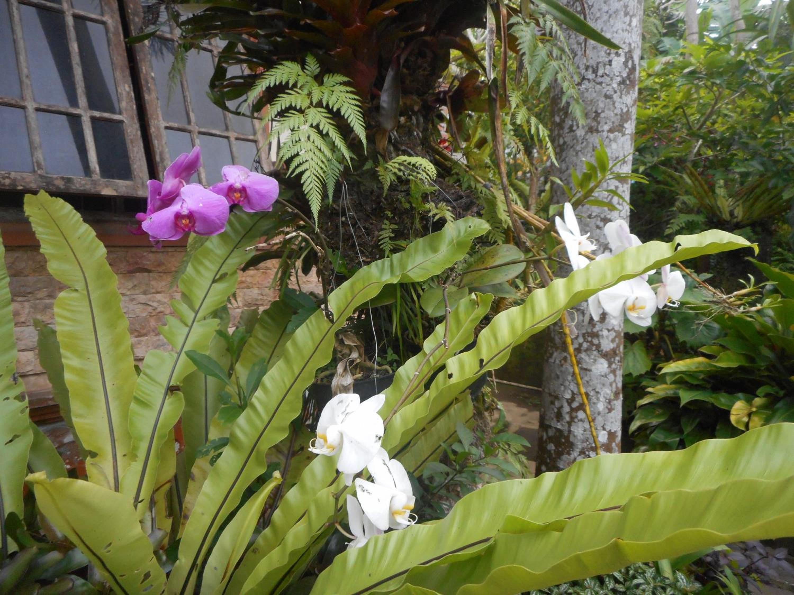 Photo 42