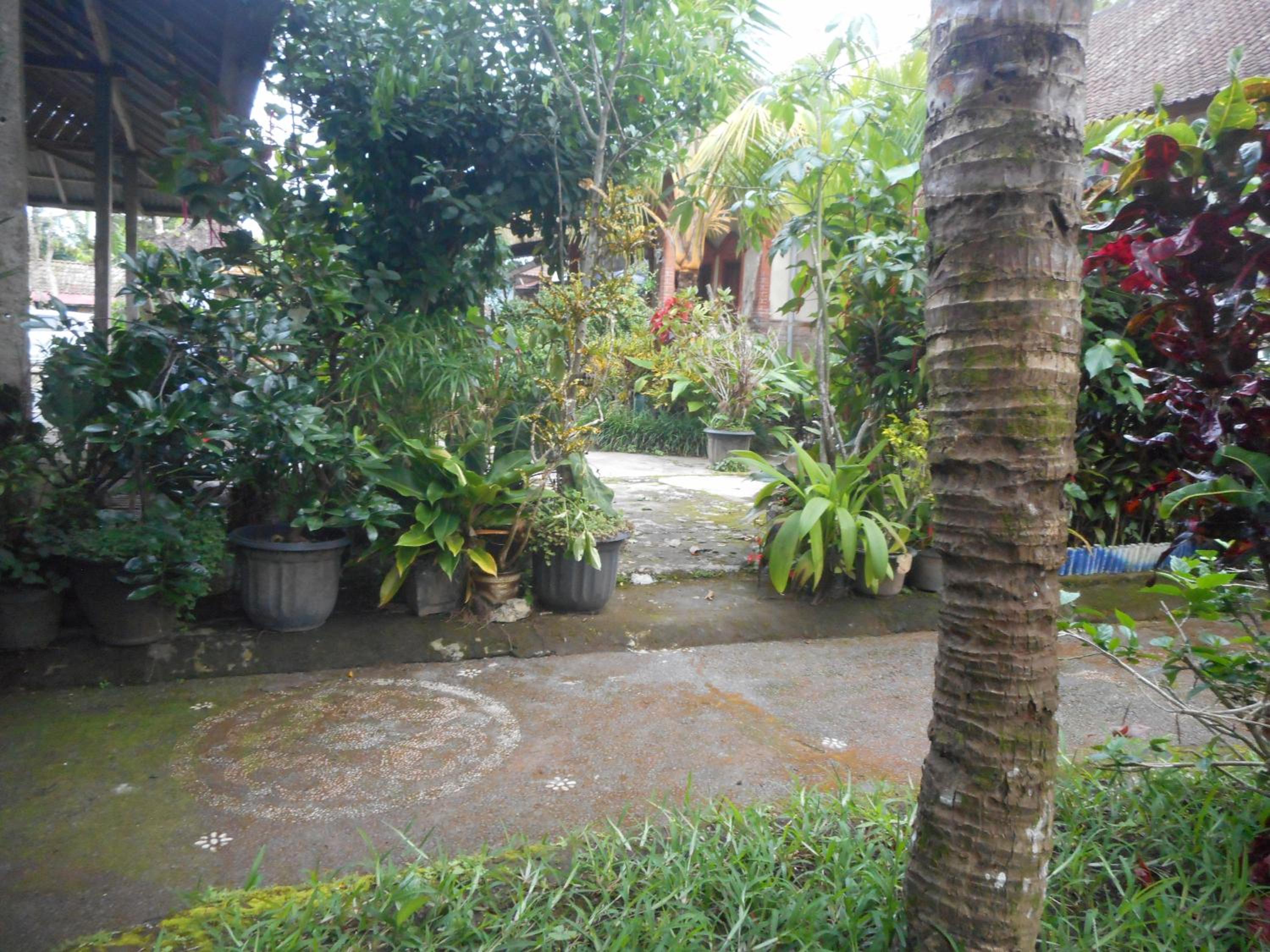 Photo 23
