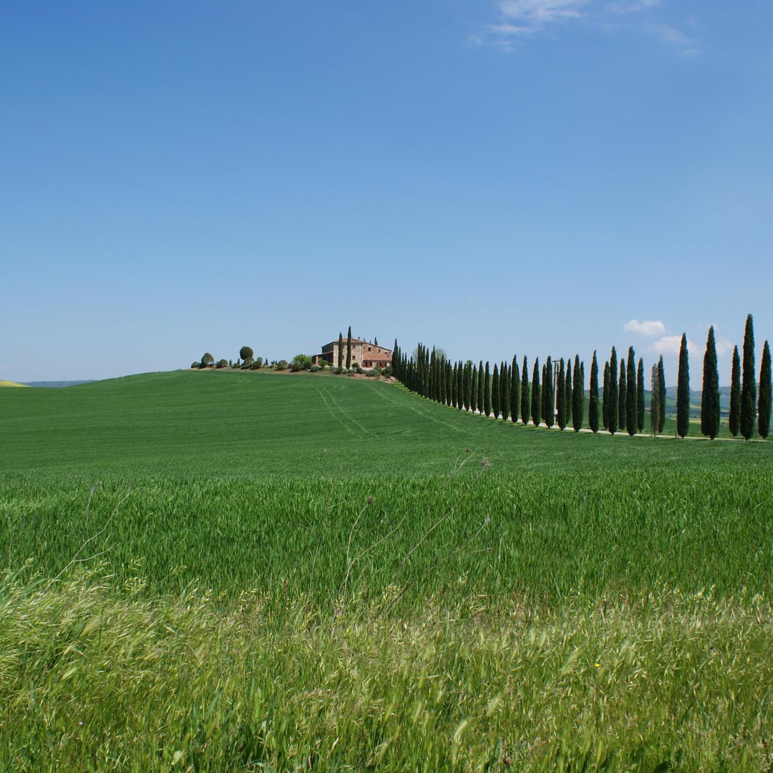 Photo 48