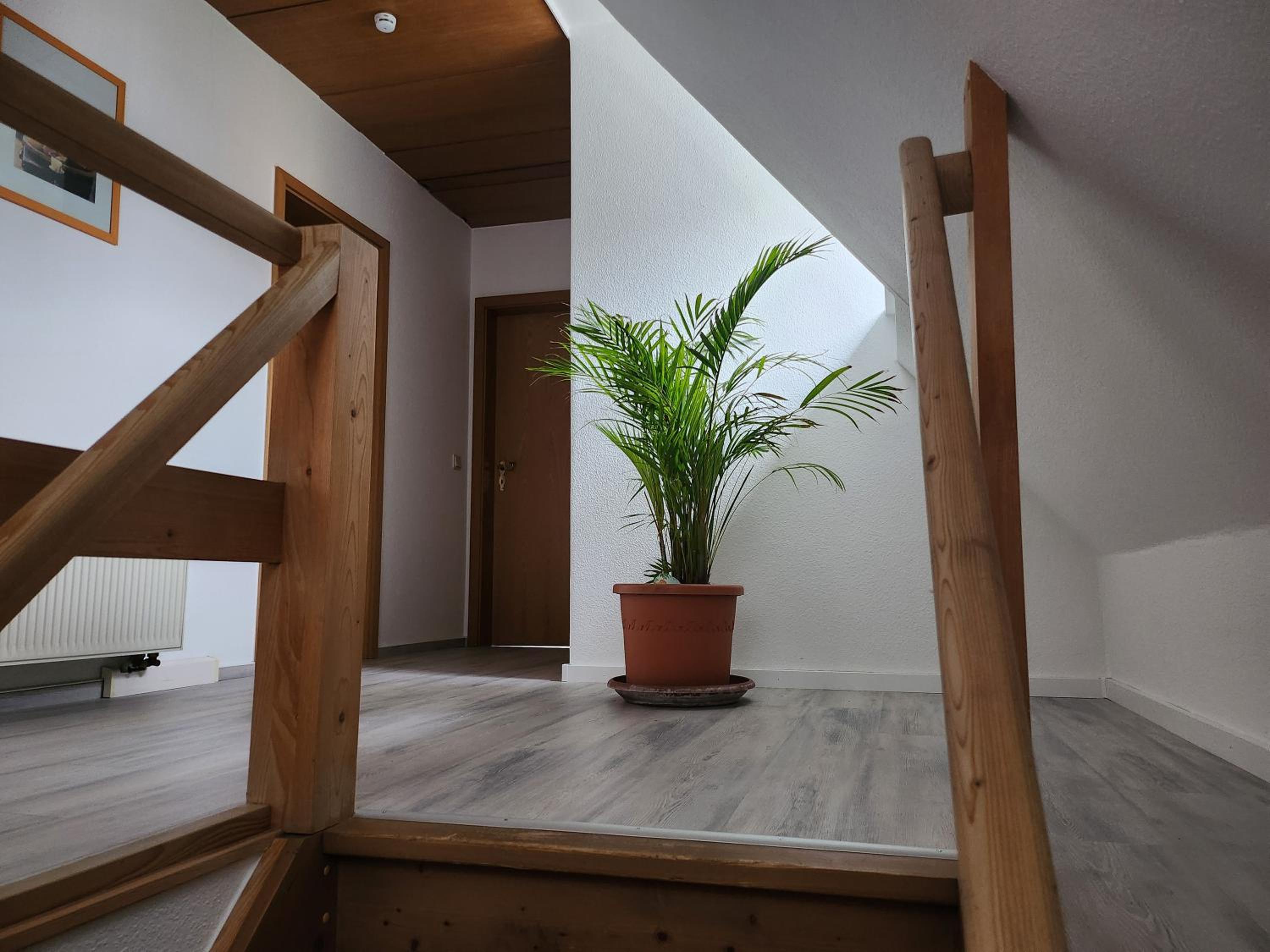 Ferienwohnung Auf der Heide