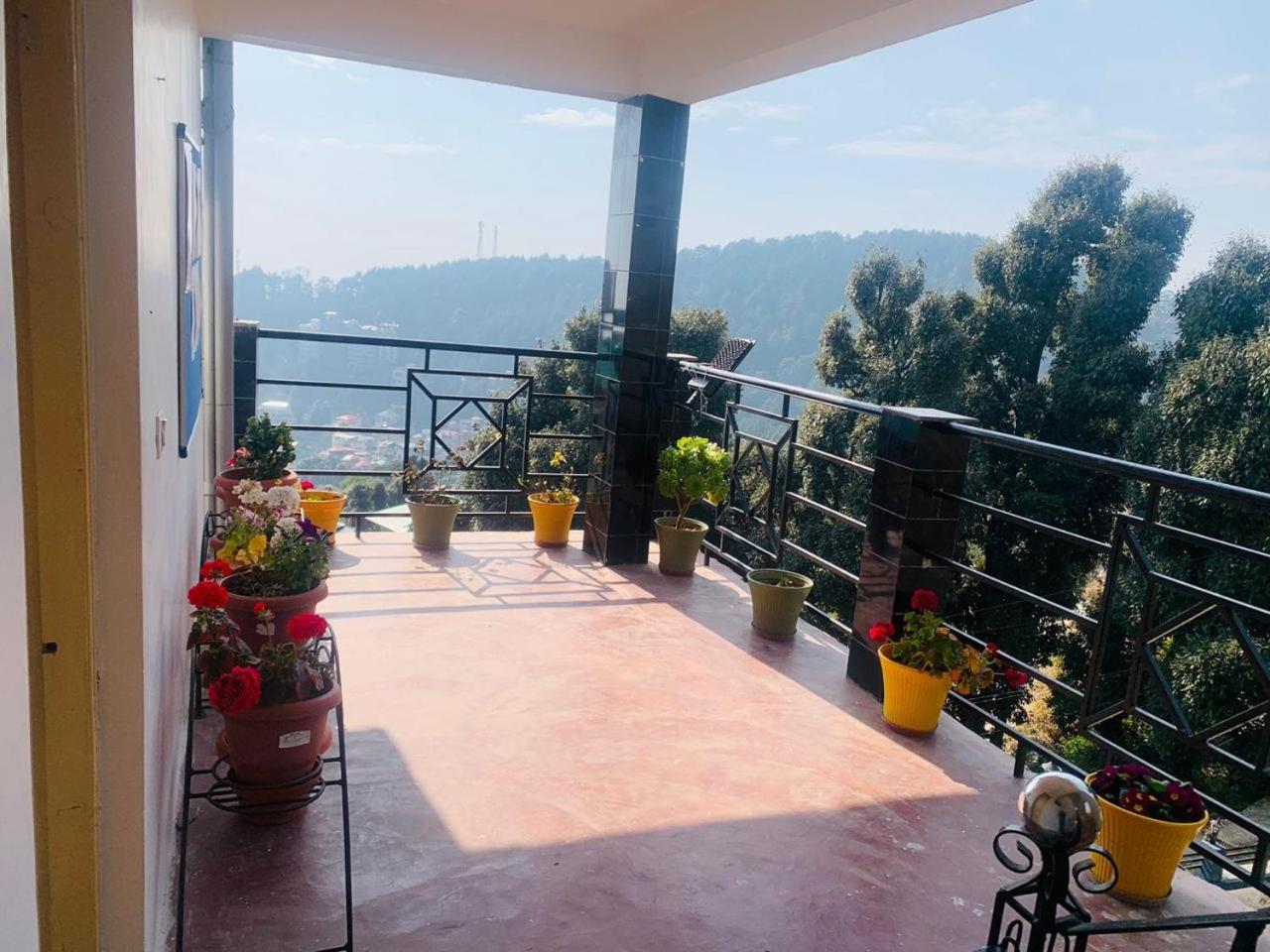Oasis Guest House Bhagsu D'shala