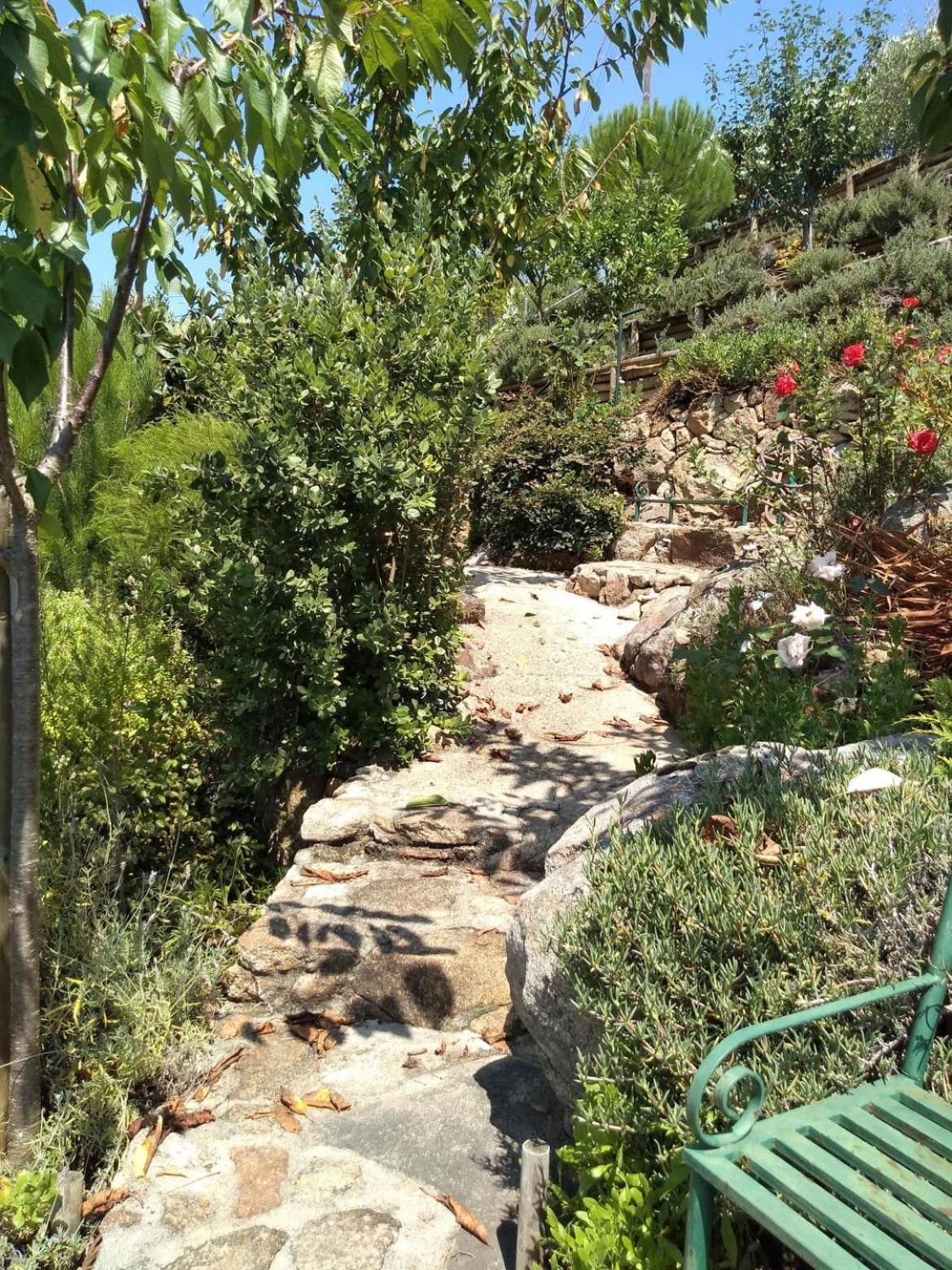 Photo 20