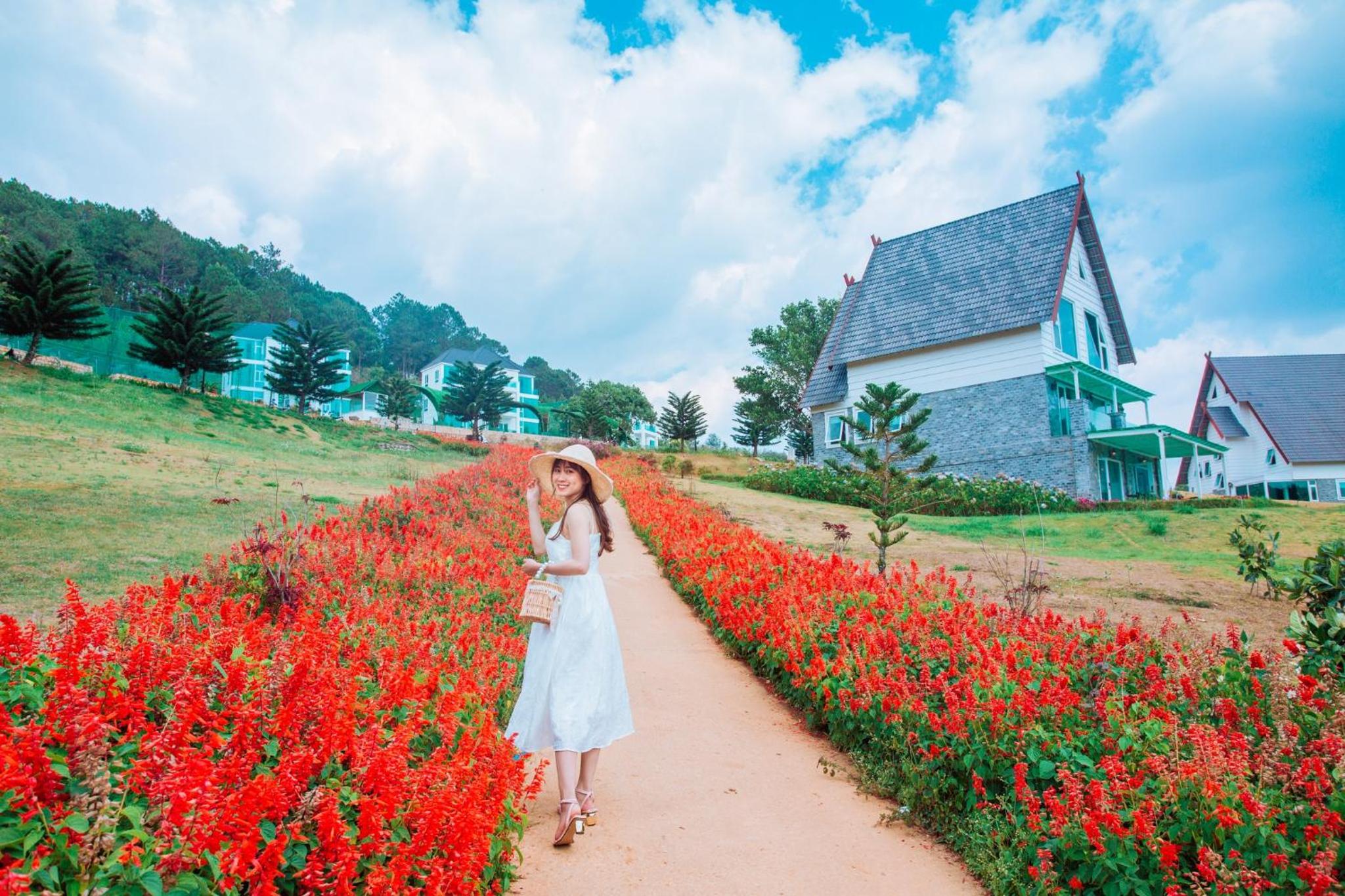 Dalat Wonder Resort