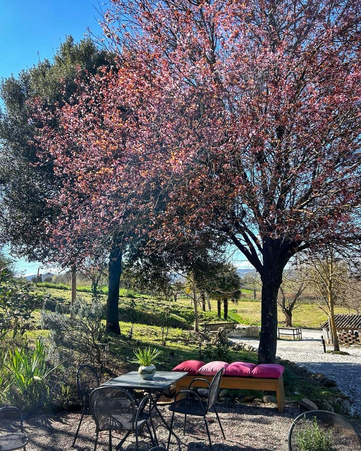 CasalPiano