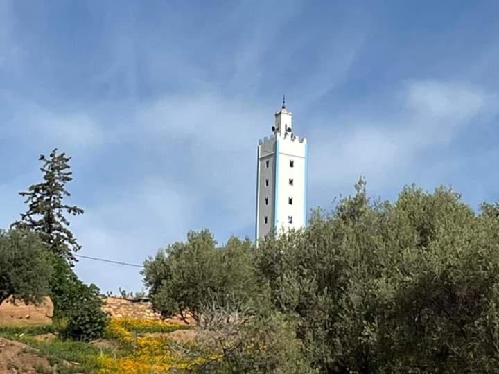 Photo 57