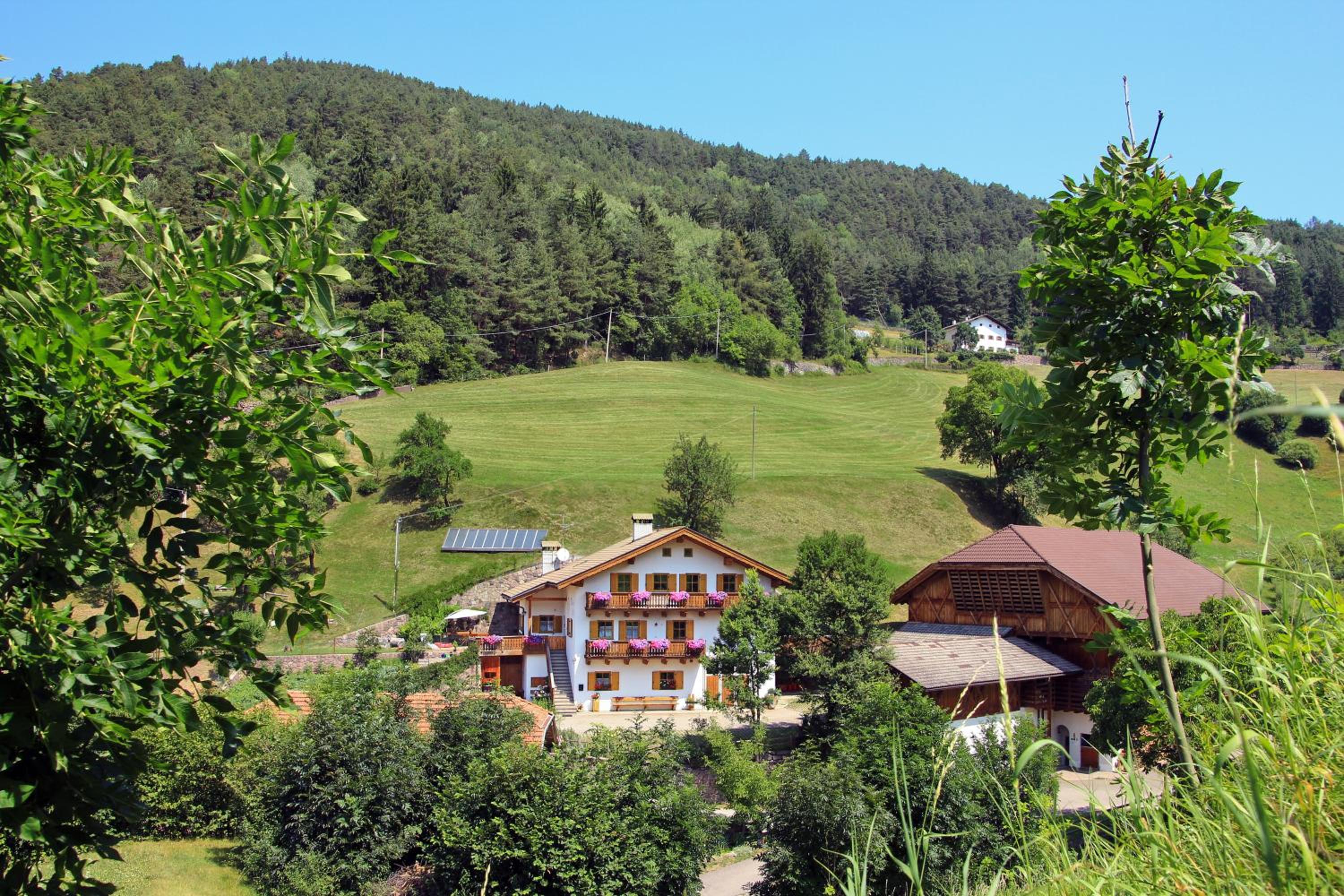 Müllerhof
