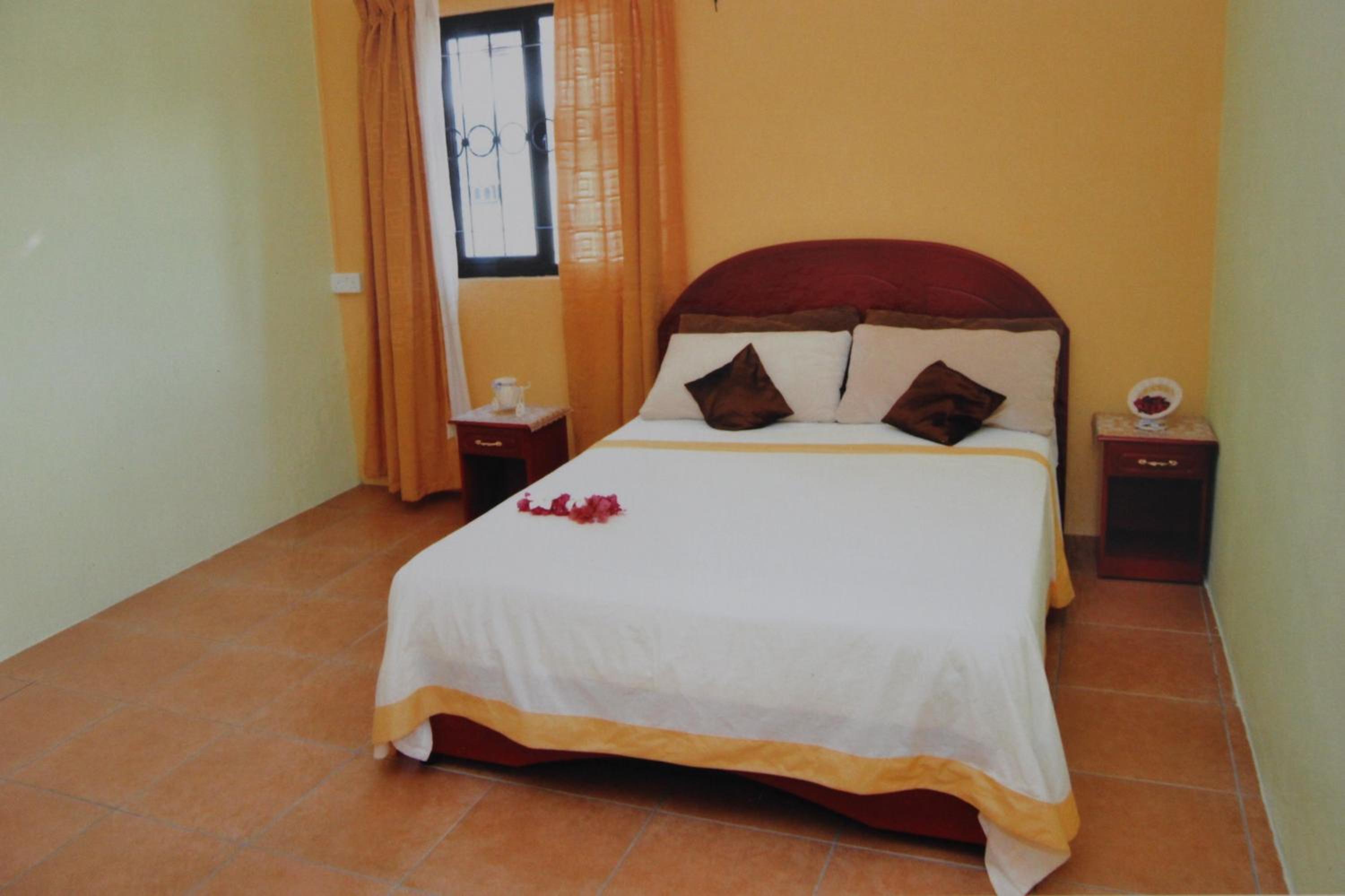 Photo 46